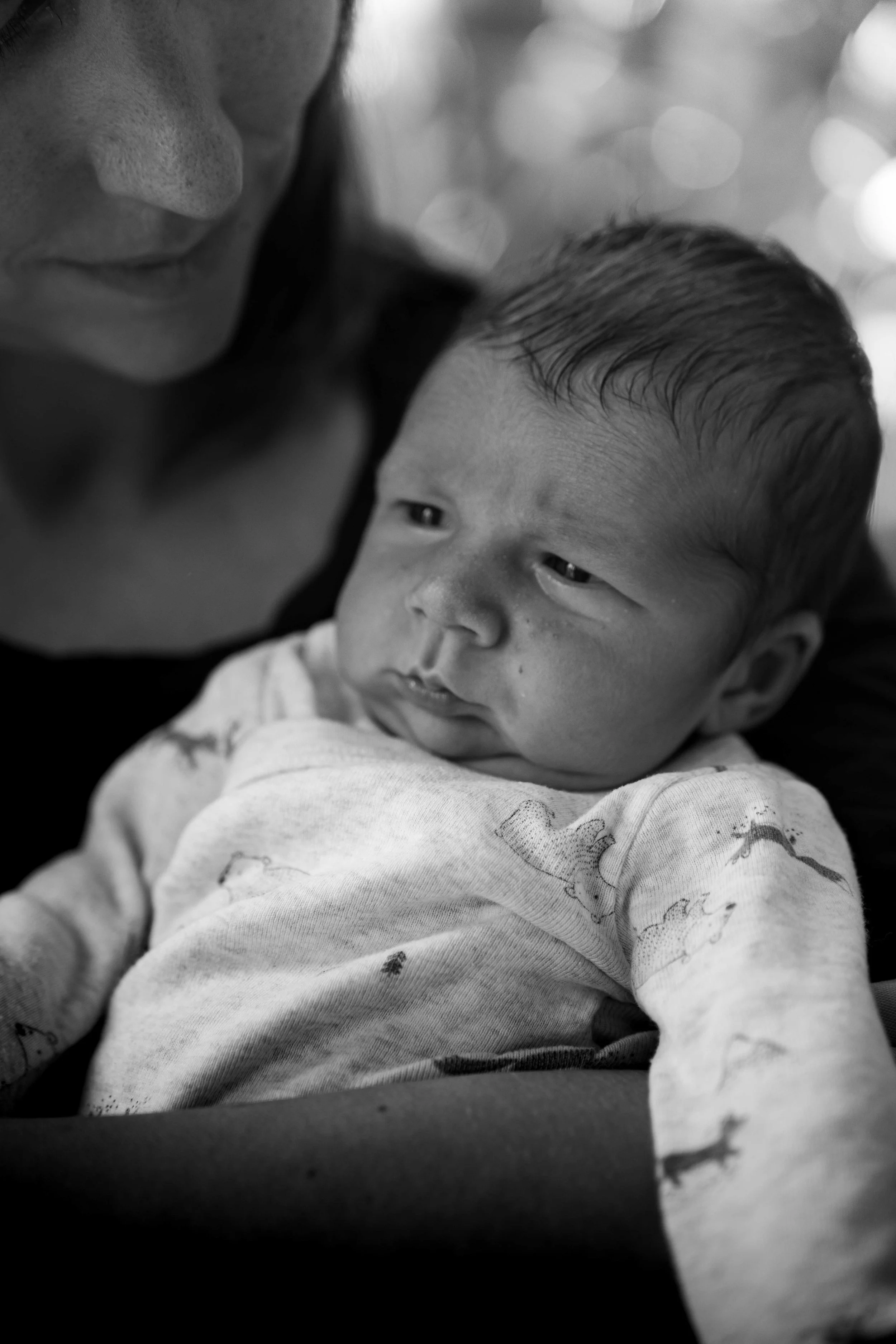 THEODORE-03307.jpg