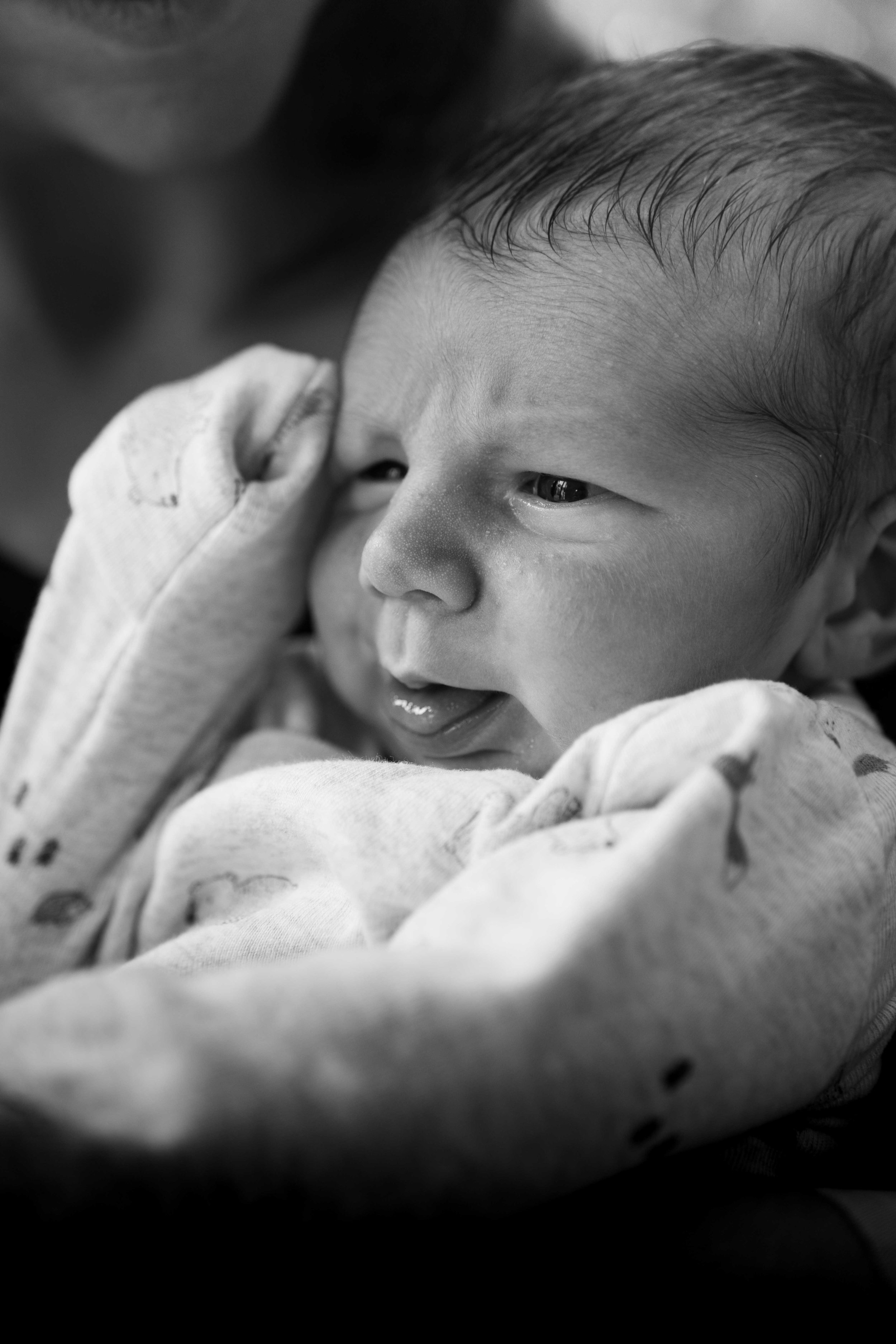 THEODORE-03308.jpg