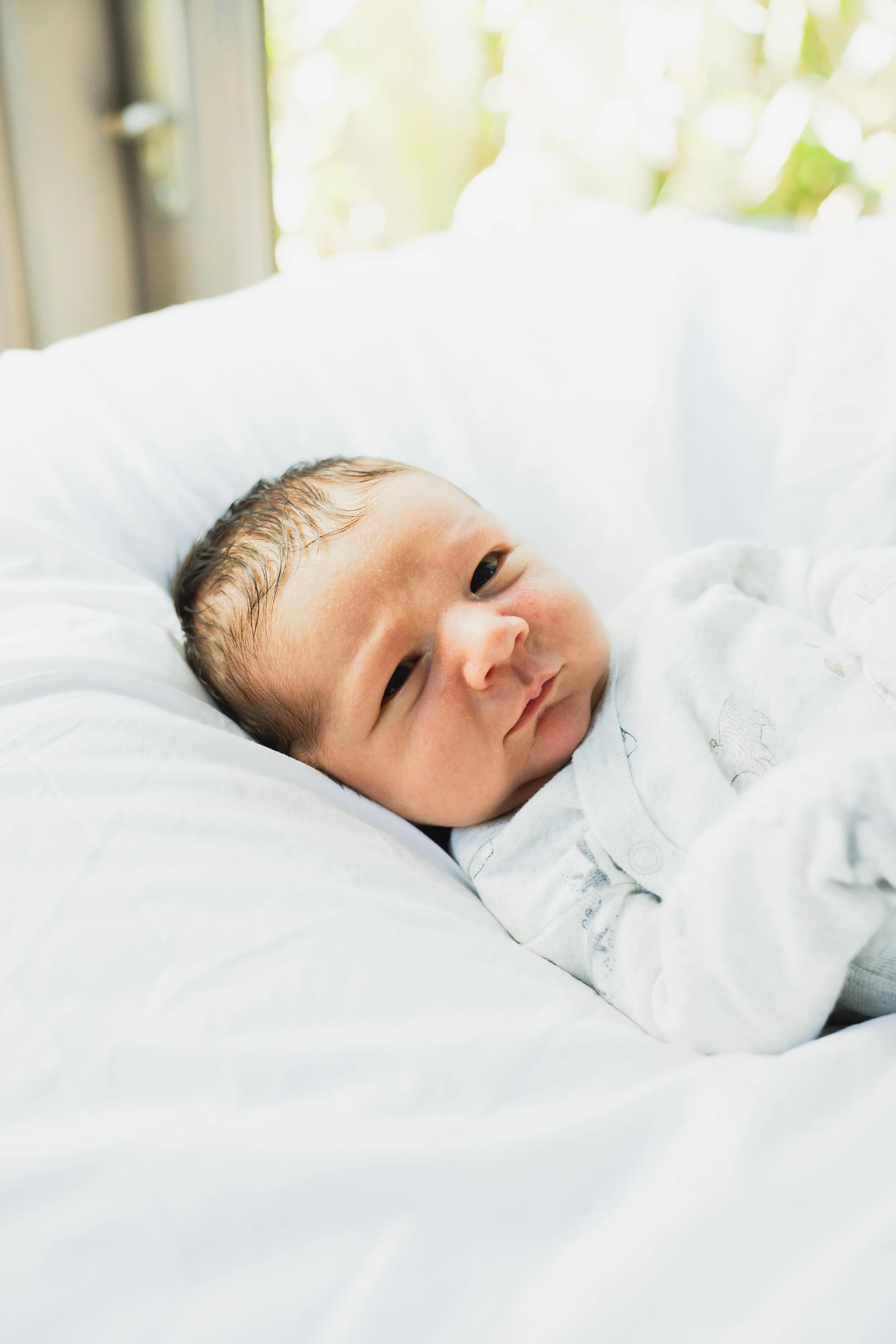 THEODORE-03553.jpg