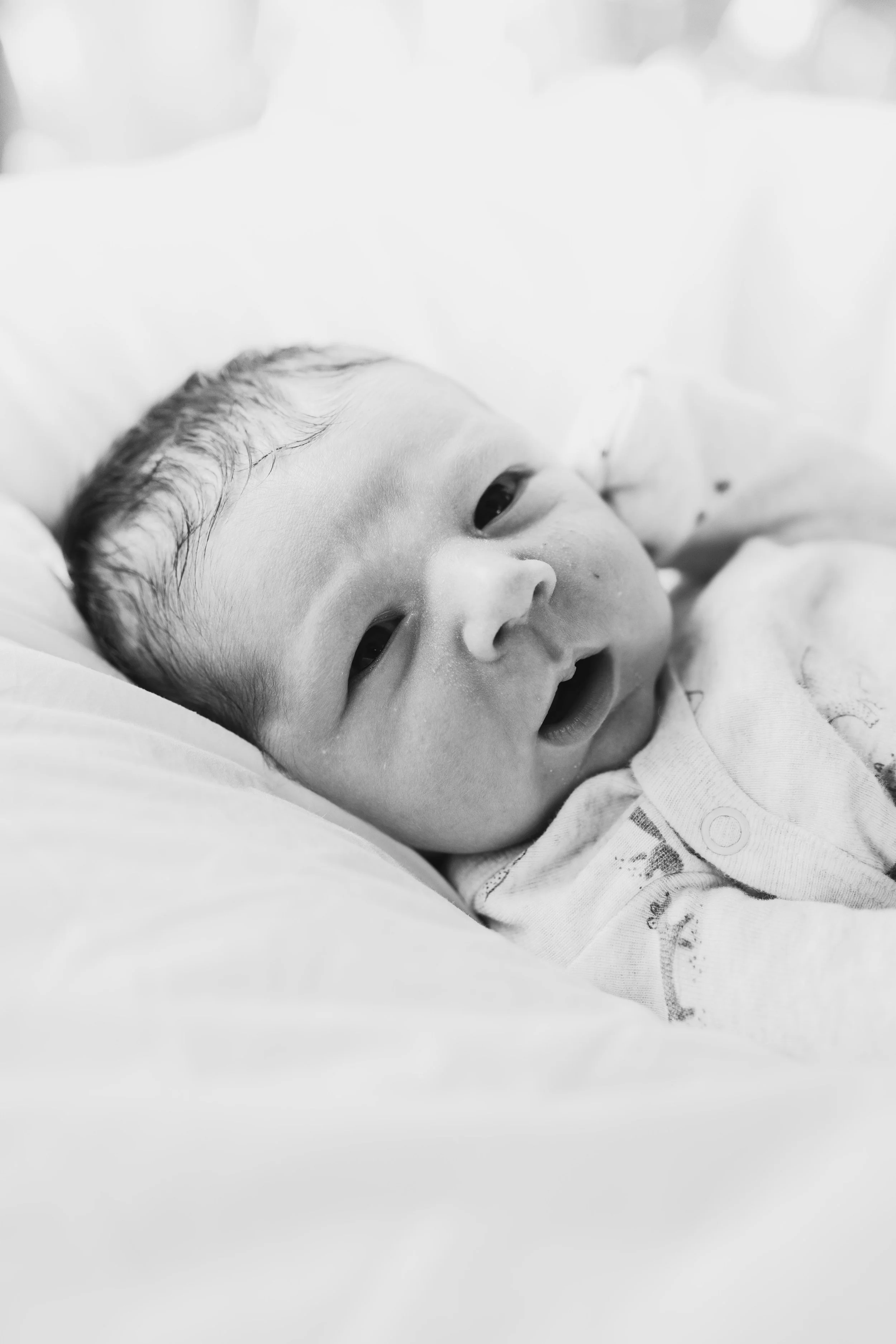 THEODORE-03571.jpg