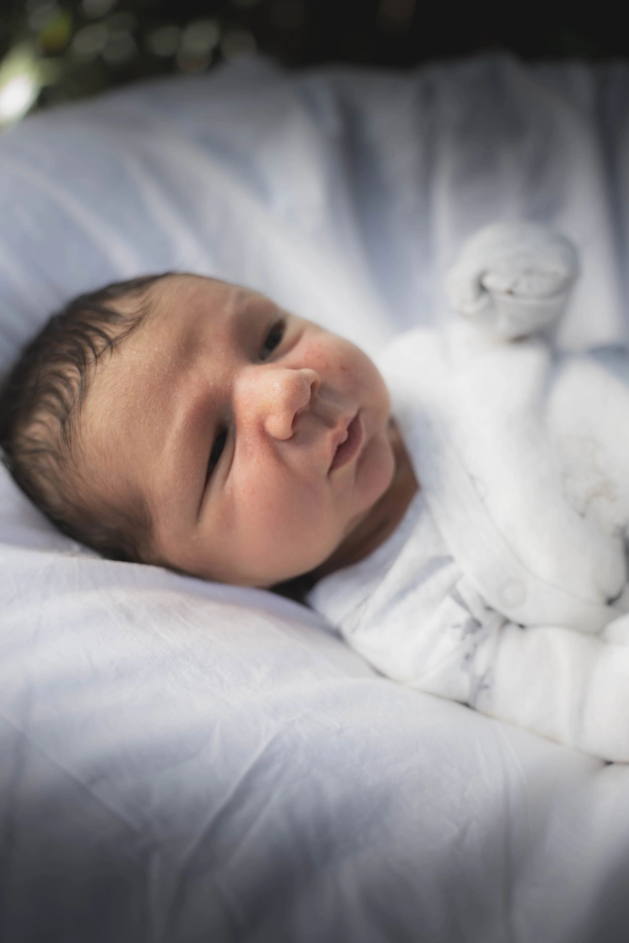 THEODORE-03609.jpg