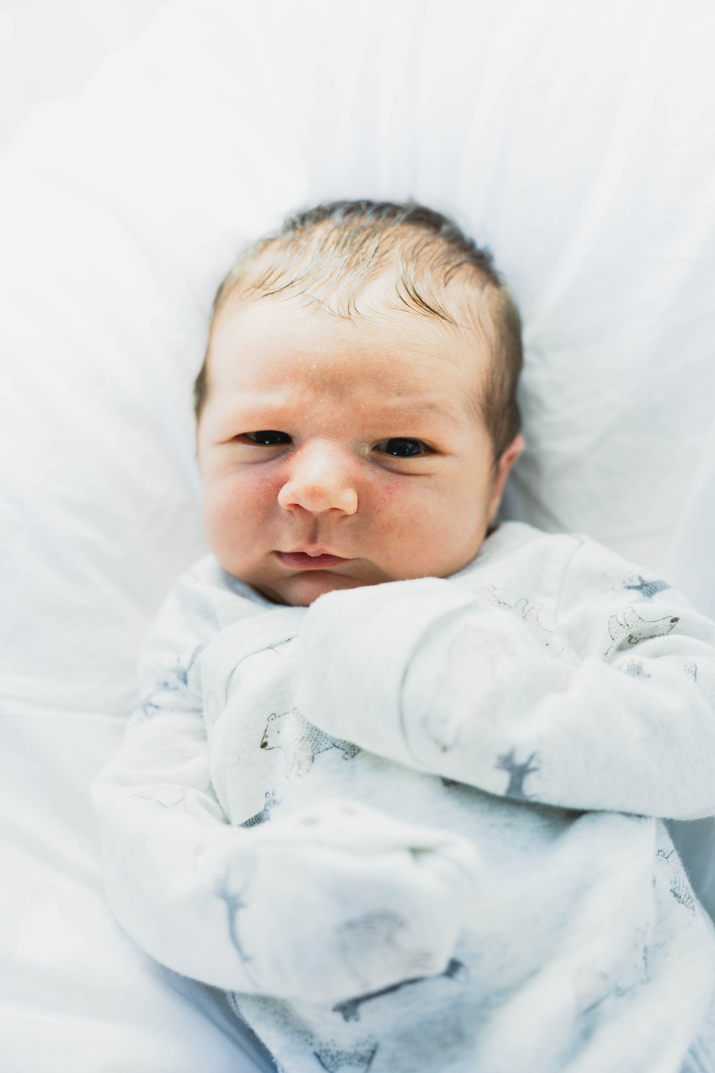 THEODORE-03627.jpg