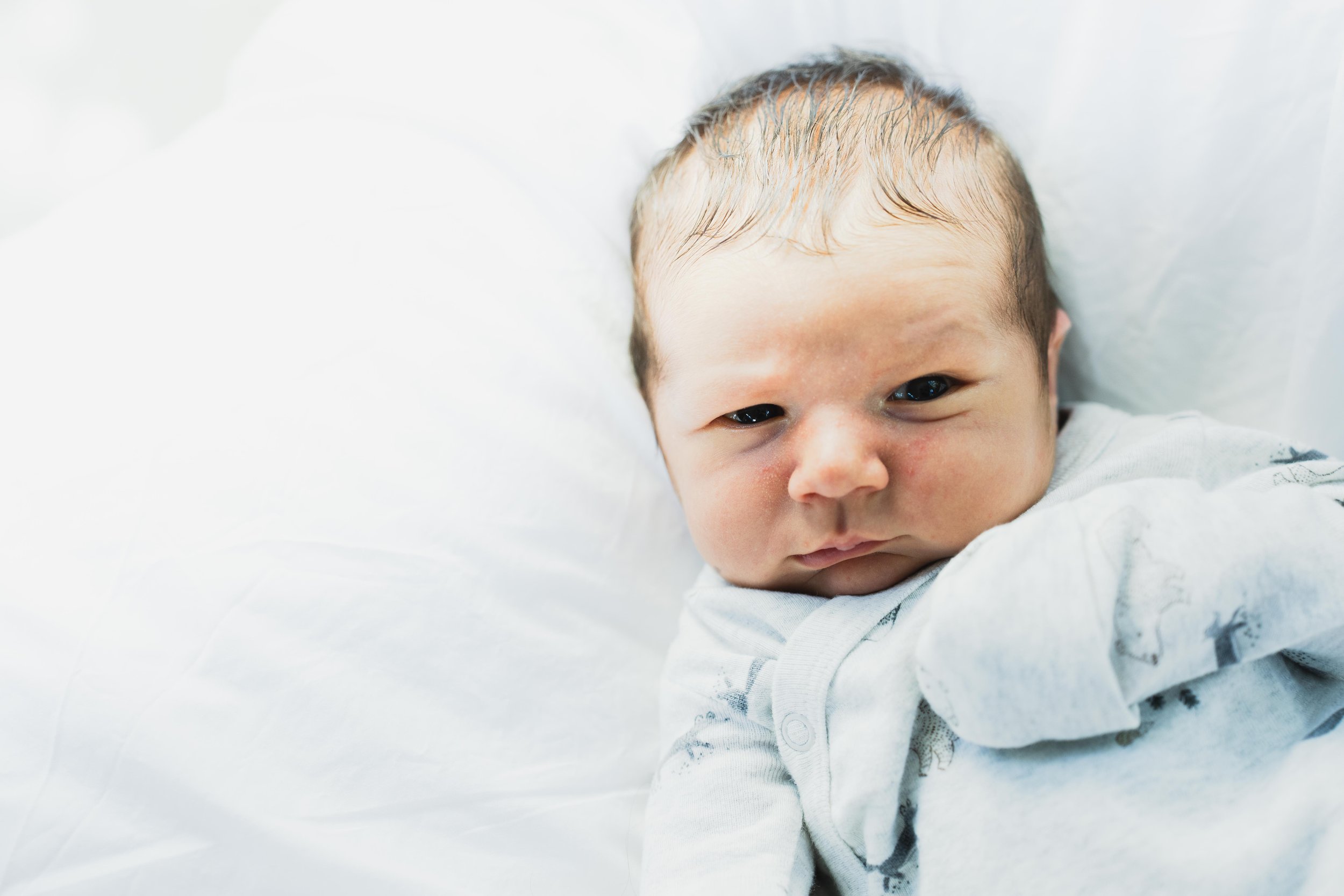 THEODORE-03663.jpg