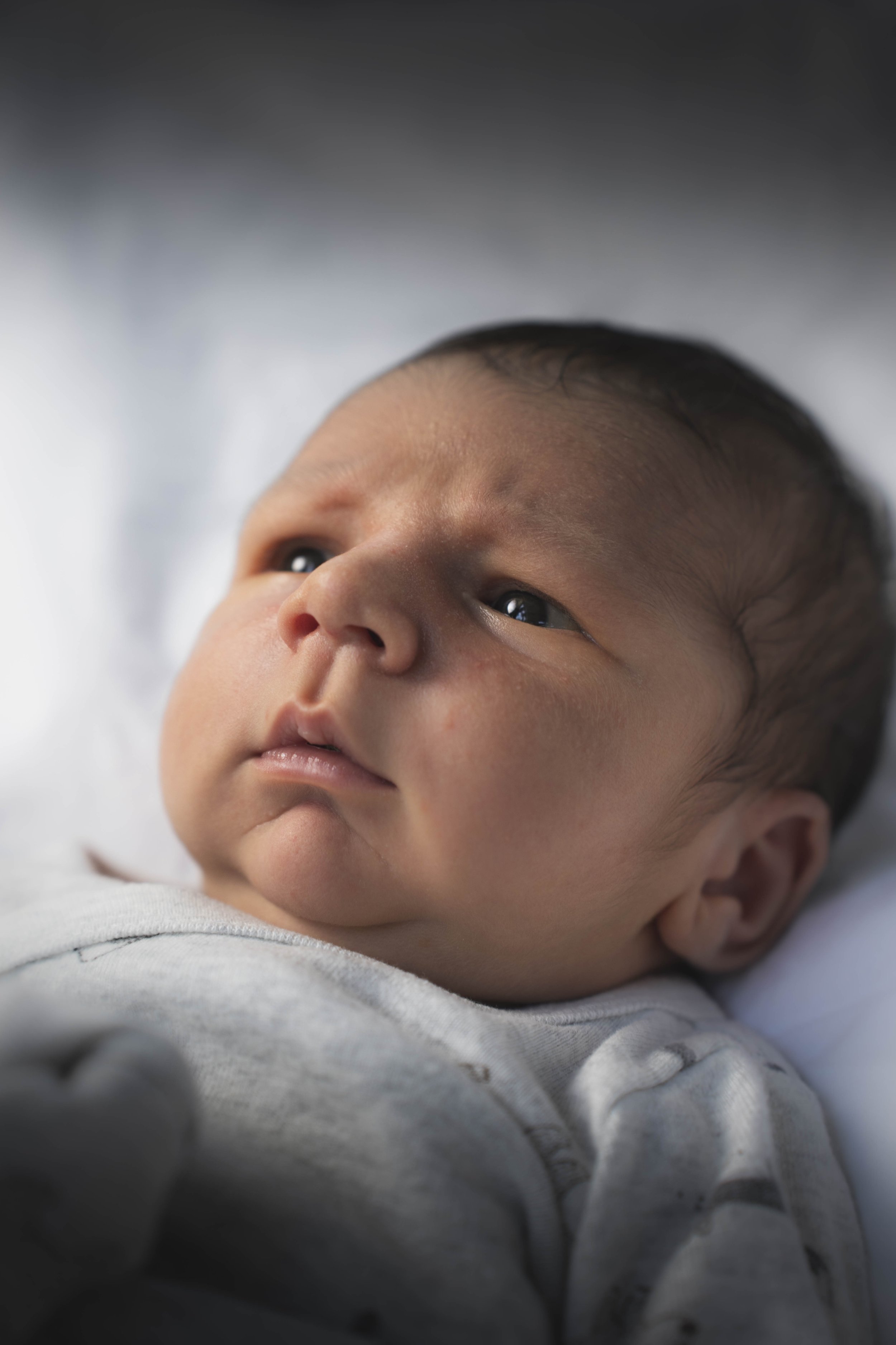 THEODORE-03826.jpg