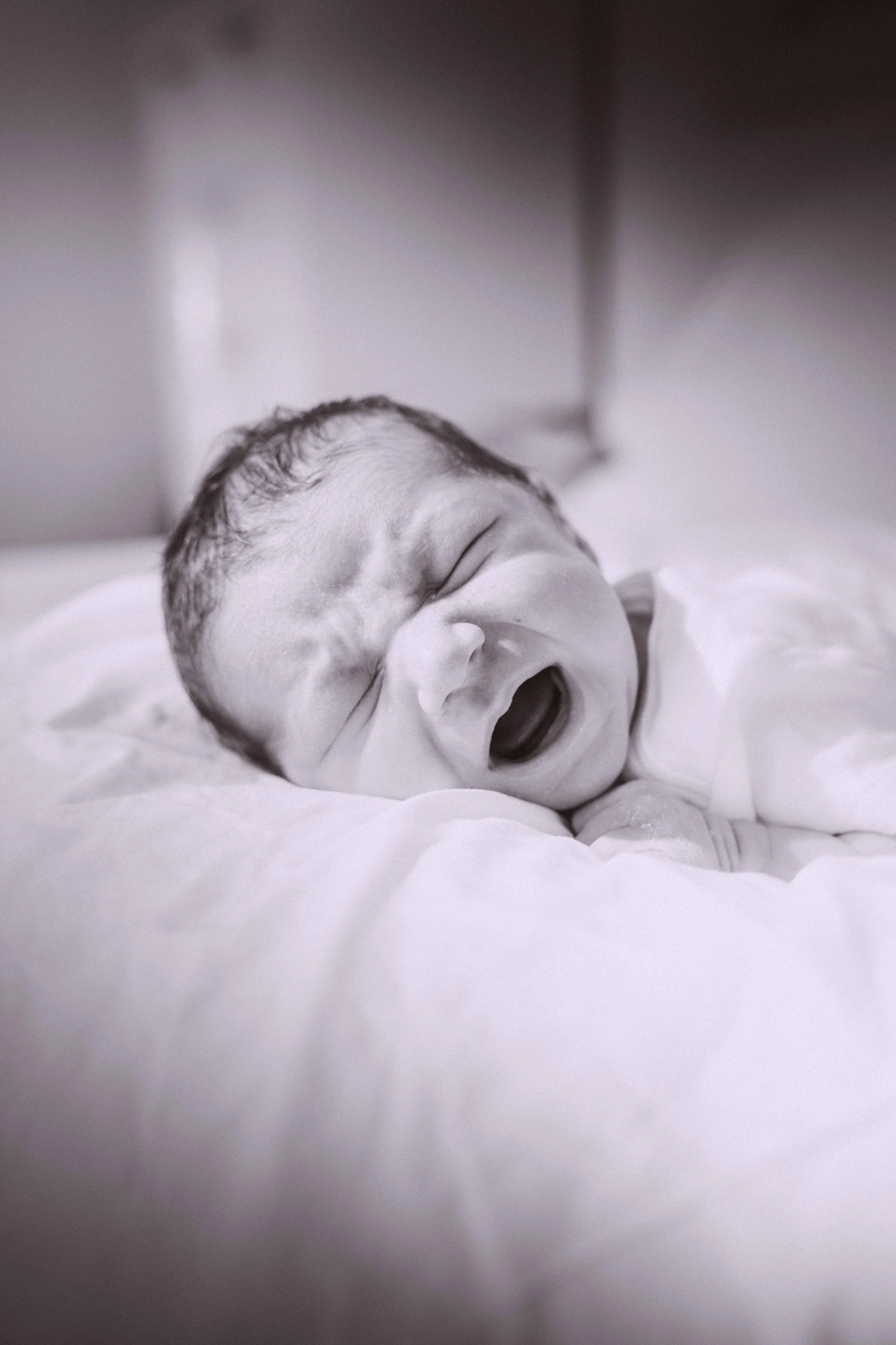 THEODORE-03982.jpg