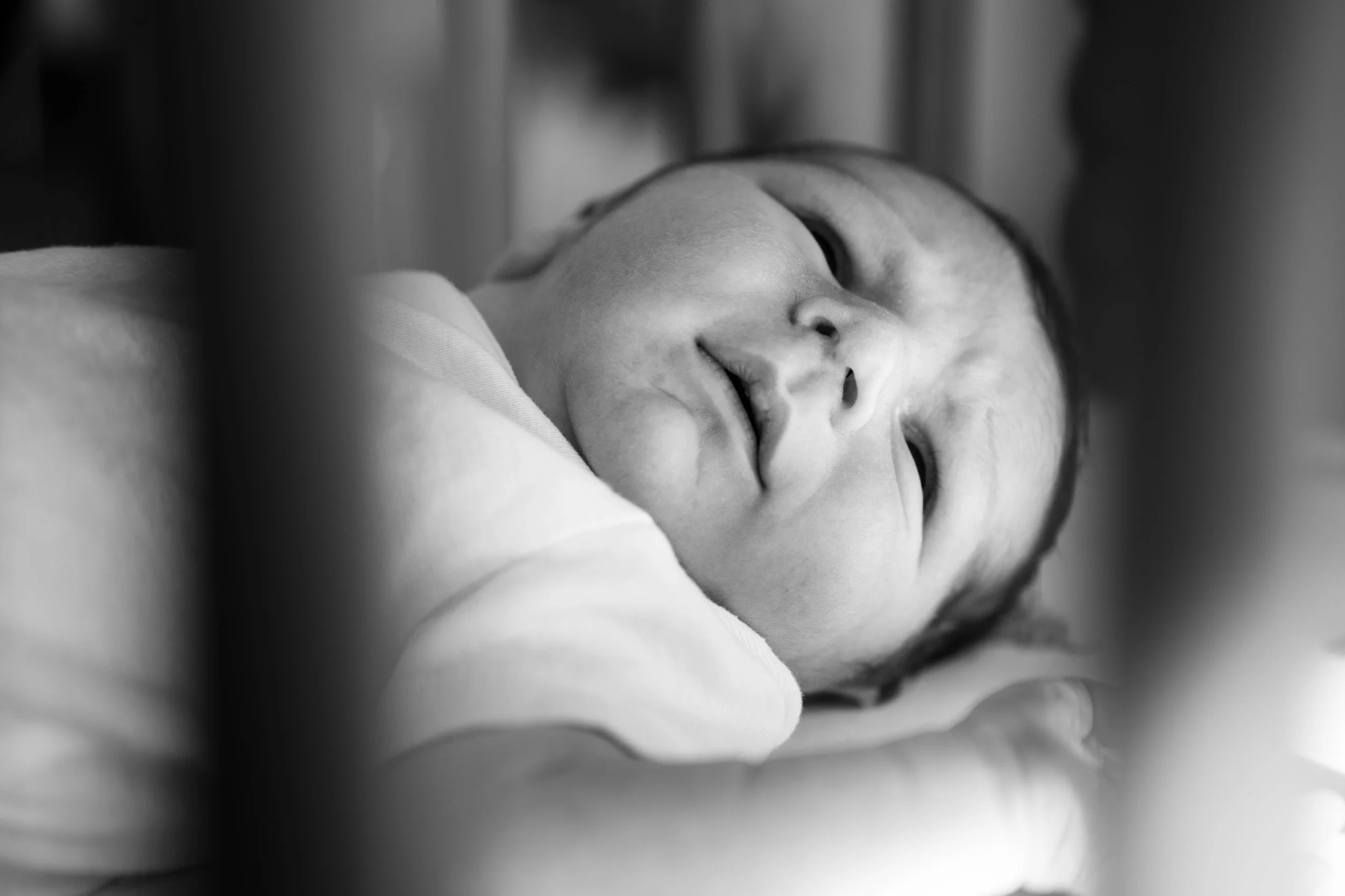 THEODORE-04237.jpg
