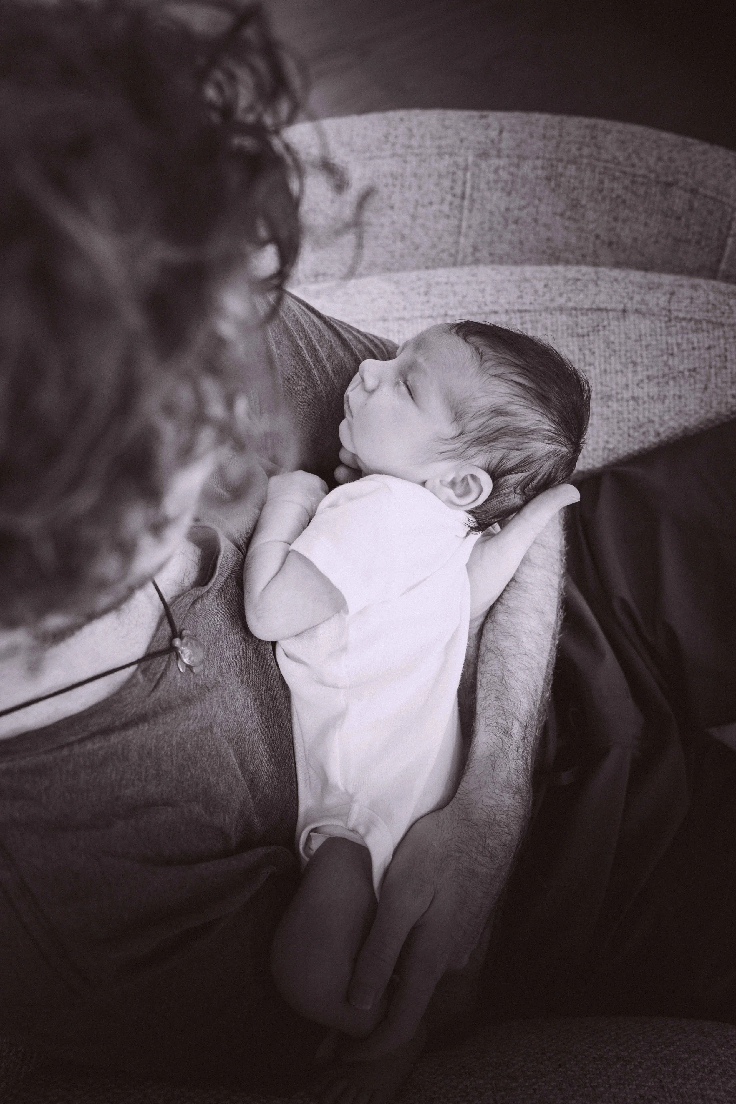 THEODORE-04480.jpg