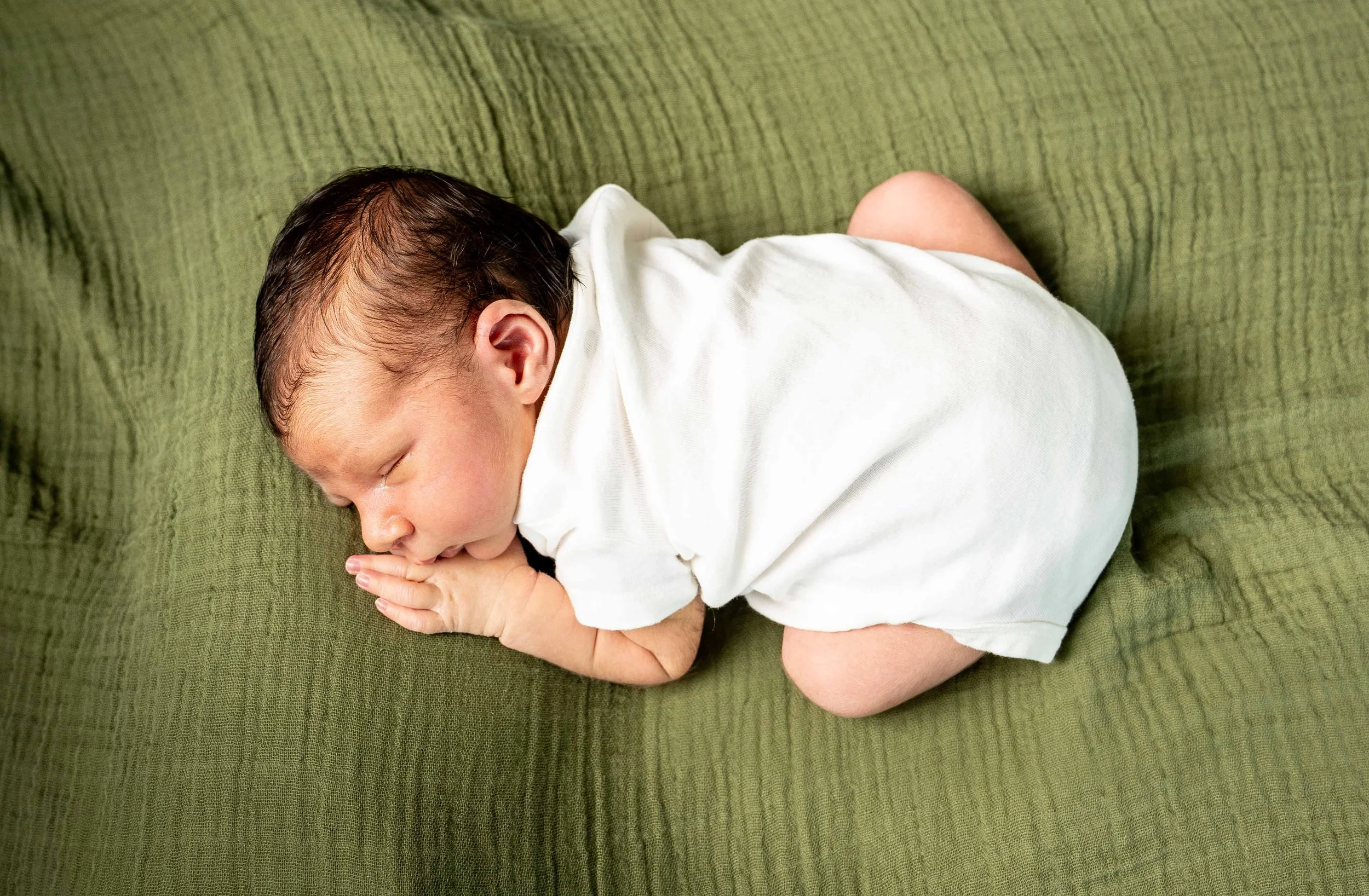 THEODORE-05068.jpg