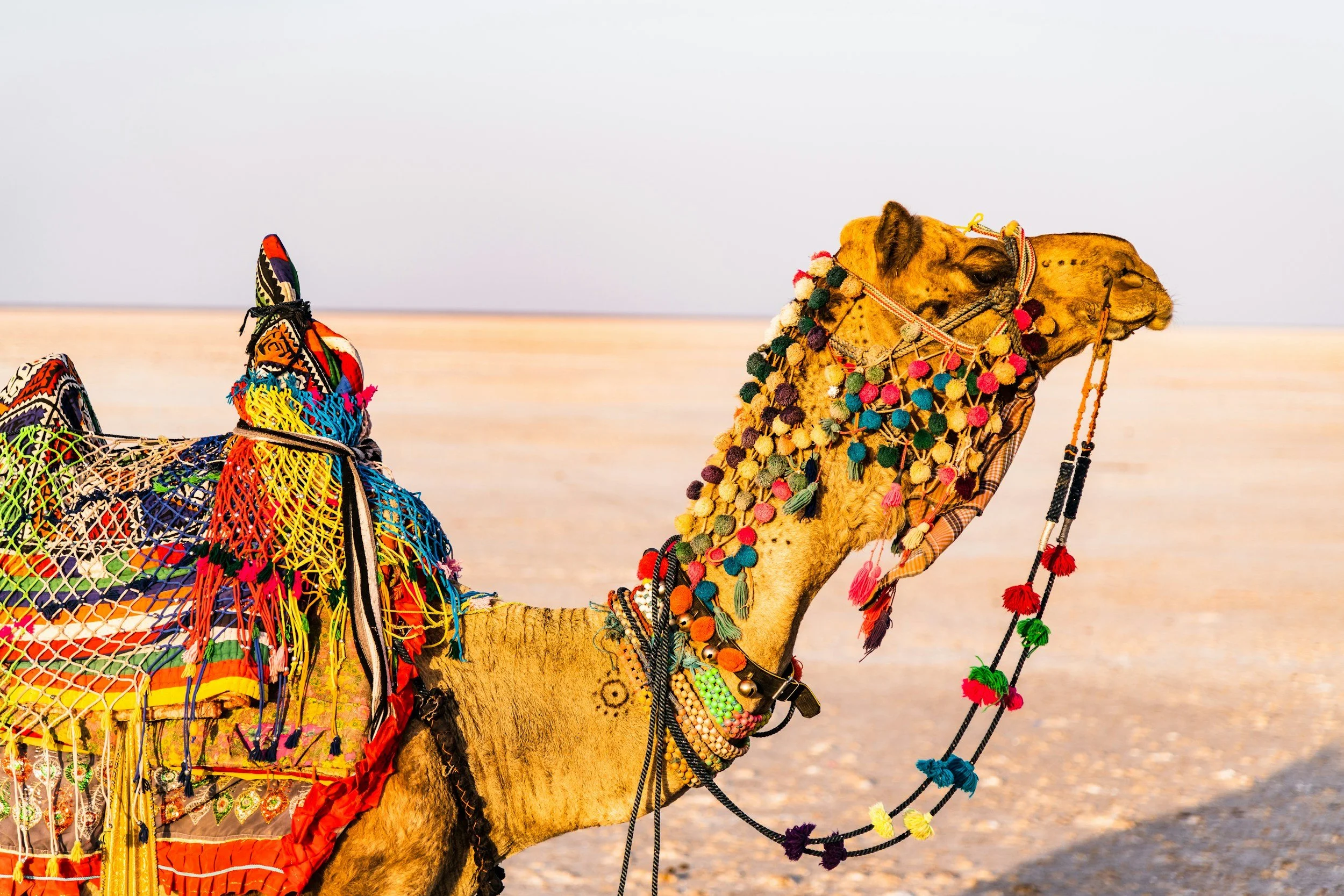unsplash-image-5U132F-itpg.jpg