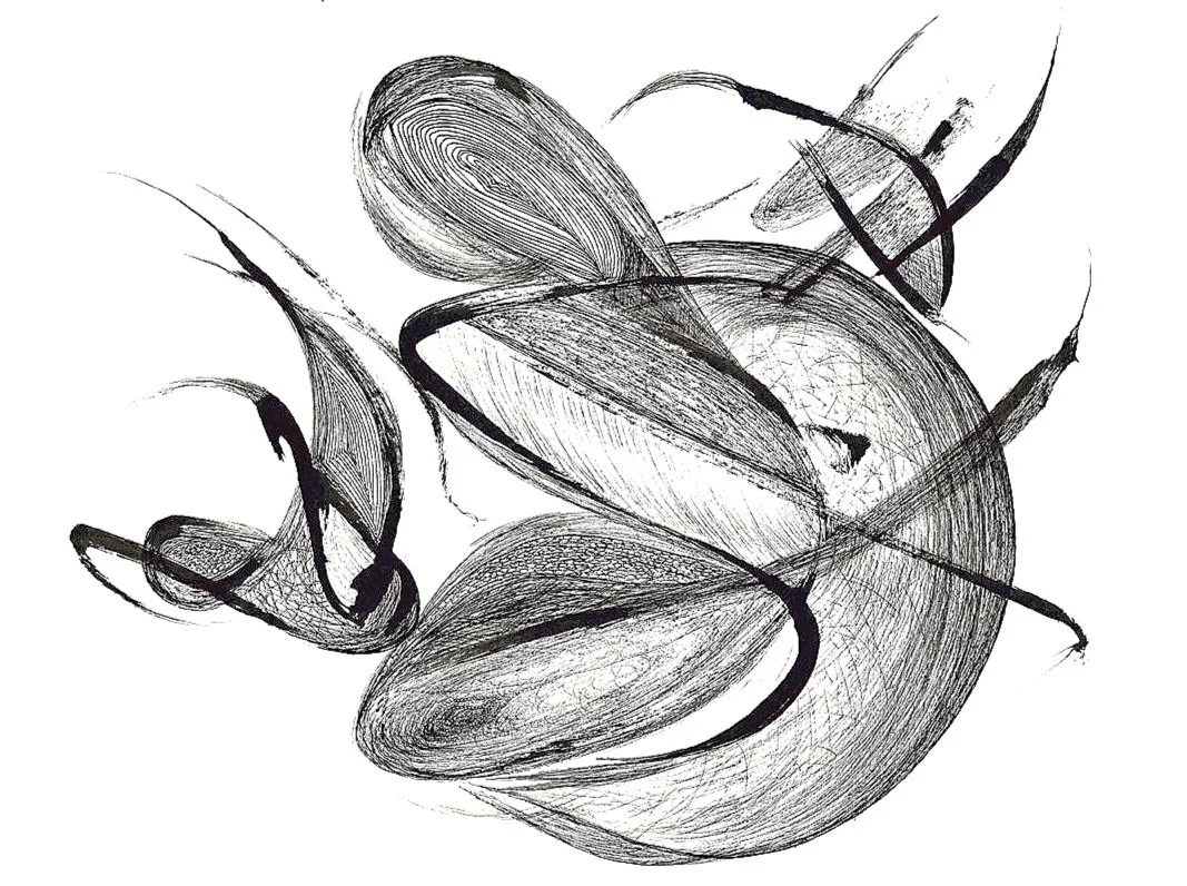  Charcoal on paper  -  18” X 24”  -  2013 