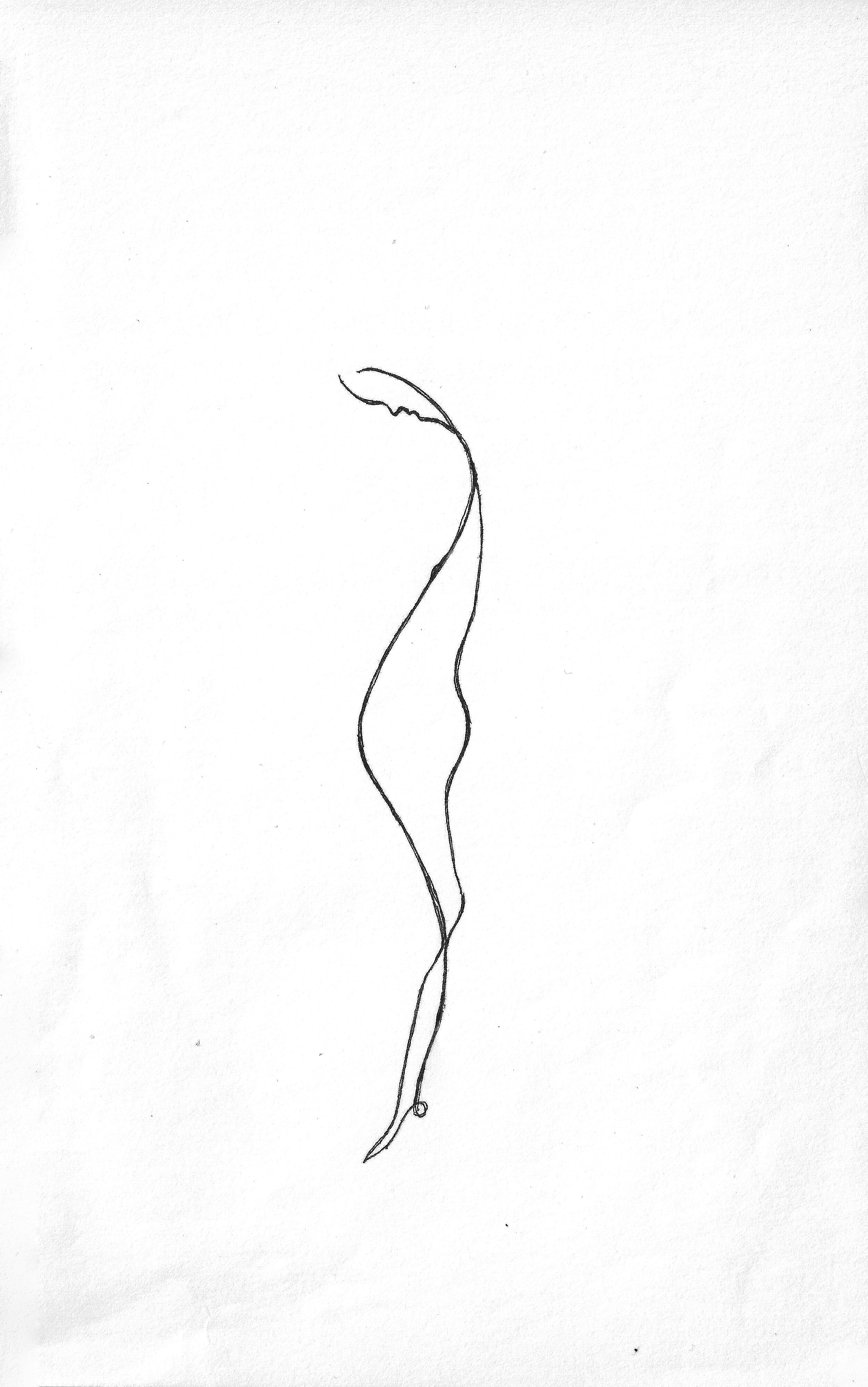  Ink on paper  -  5.25” X 8.25”  -  Late 1960’s 