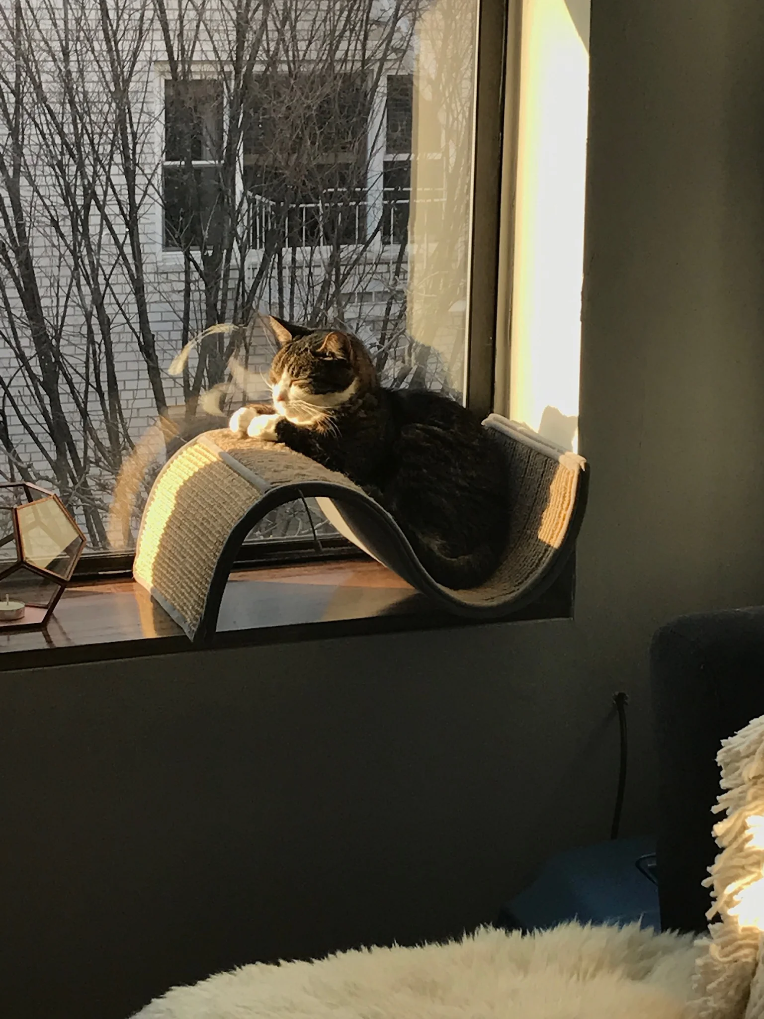 IMG_0014.jpeg