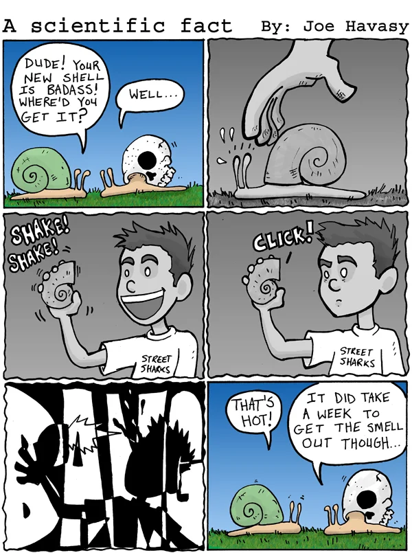 c32.jpg
