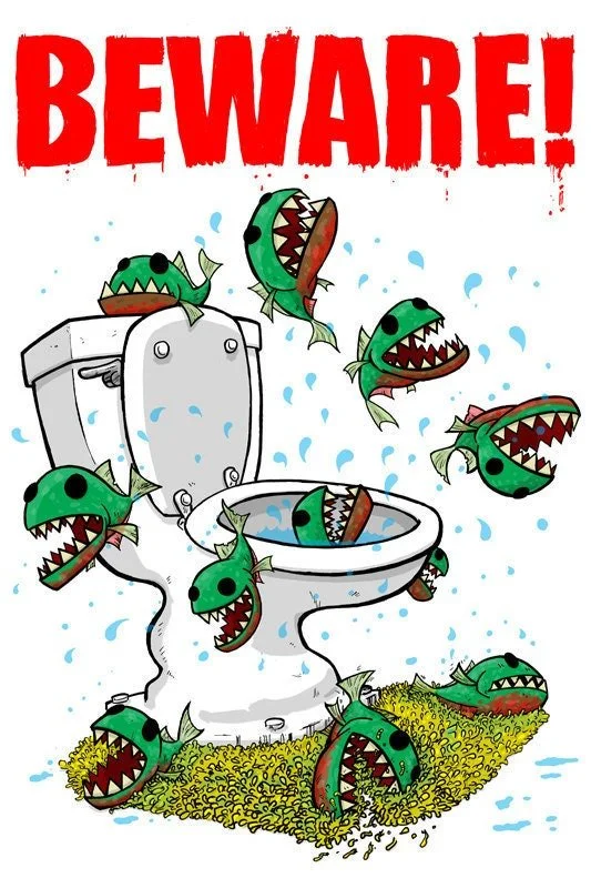 https://i.etsystatic.com/5131015/r/il/f67f15/2299516968/il_fullxfull.2299516968_5zc4.jpg