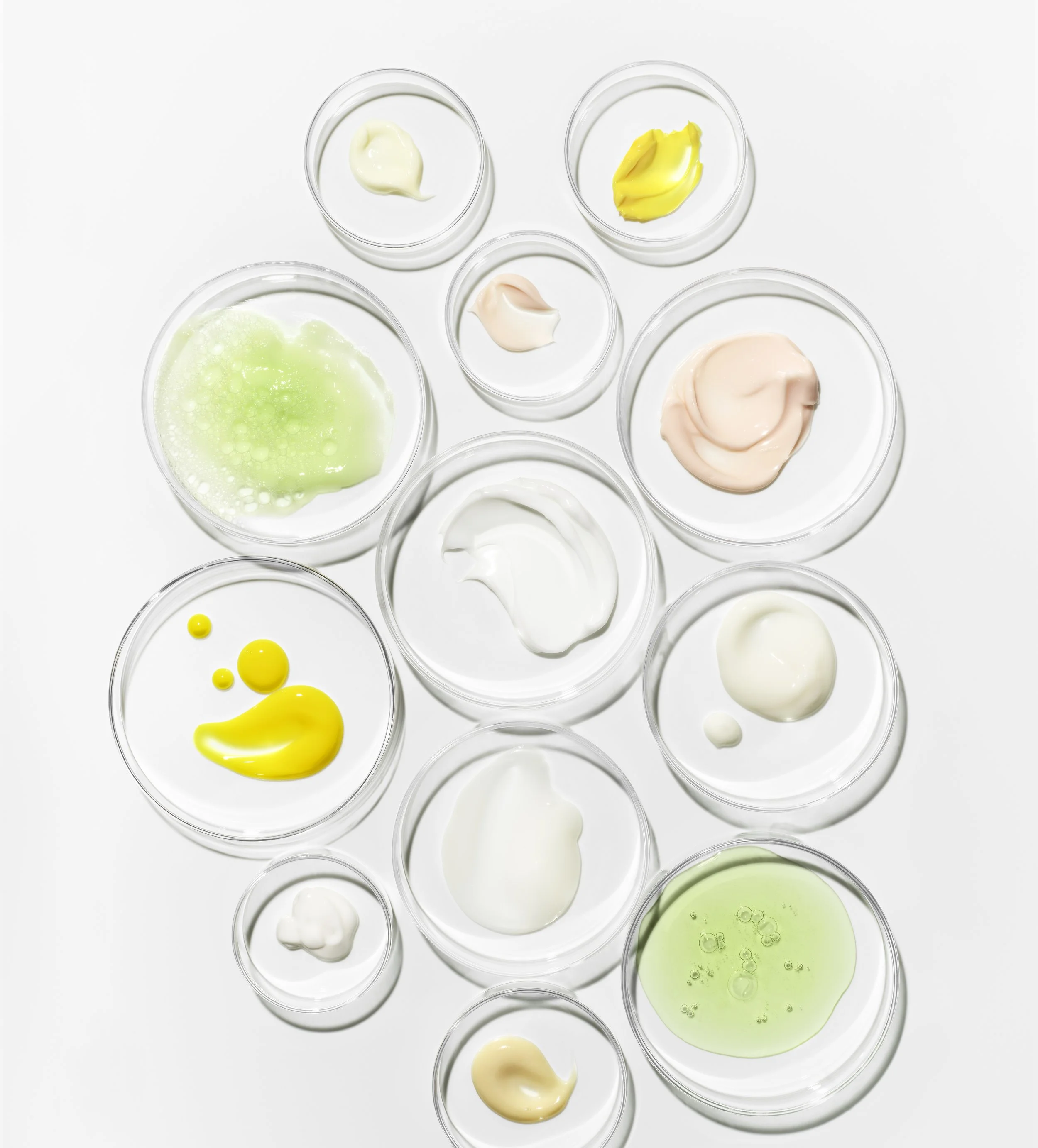 2023-jan-cleanical-story-still-life-petridish-plates-01-us-can-kohls_R3.jpg