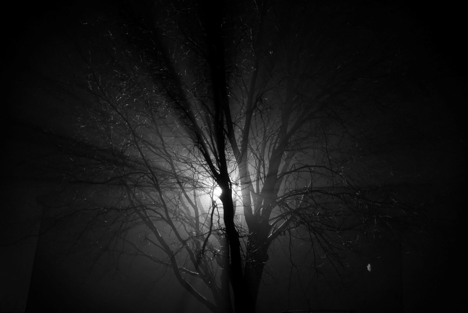 Out_of_Darkness_Lo.jpg