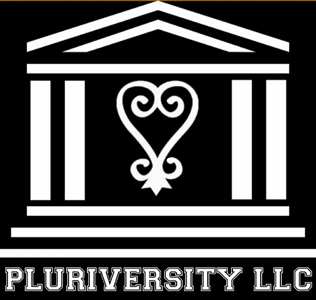 pluriversity 1.jpeg
