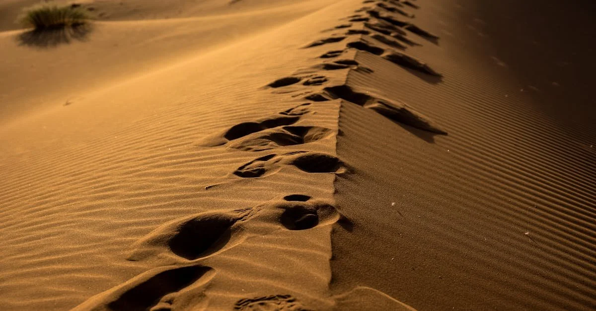 The Lord Directeth His Steps