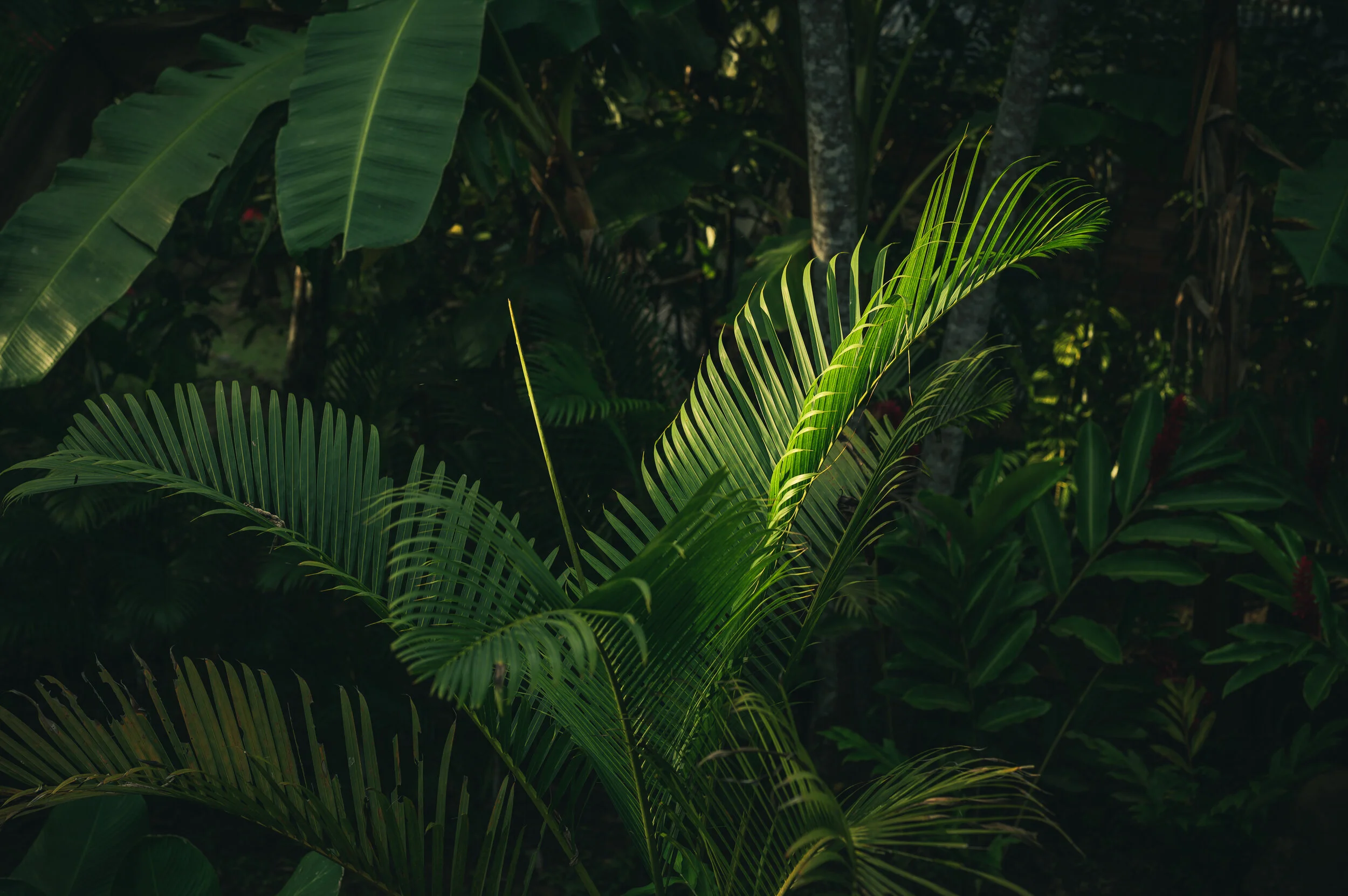 Aaron Sorkin: Master of Dialogue