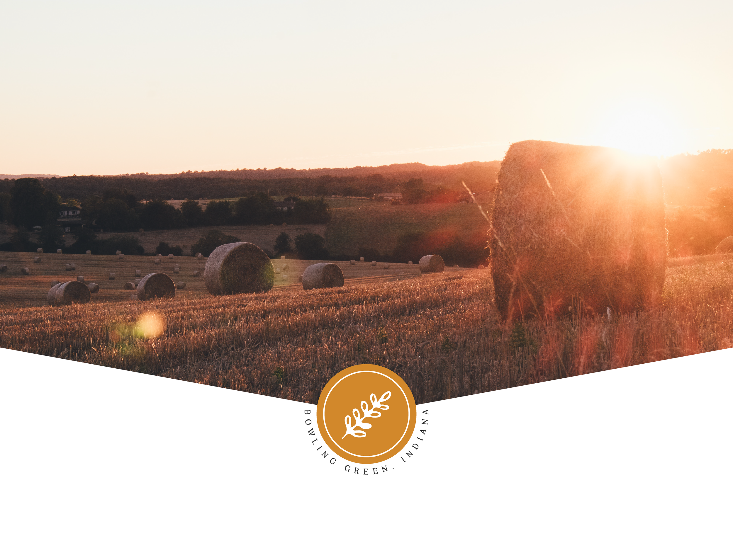 farm&co-website-elements-01.png
