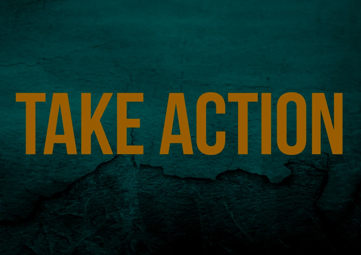 take%2Baction.jpg