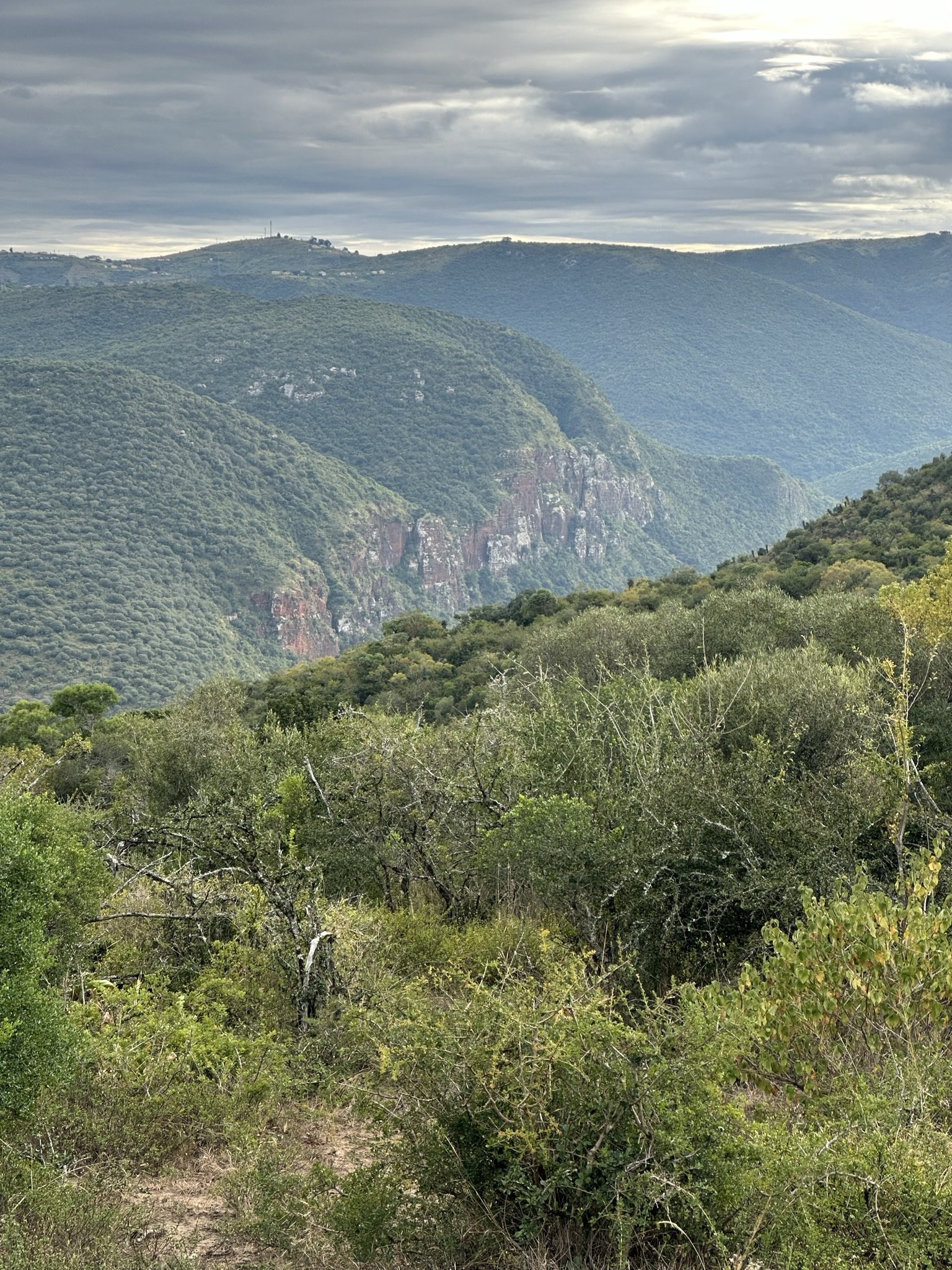 Images From An African Hunt