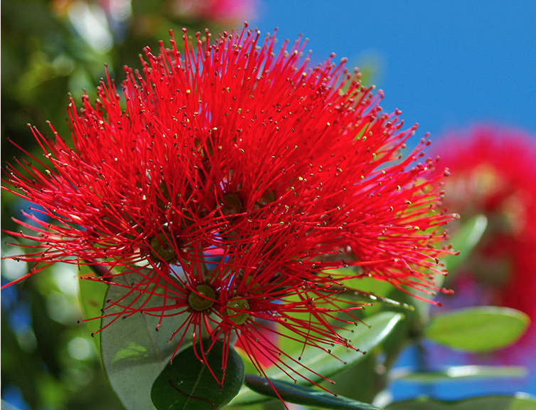 Screen Shot 2018-08-15 at 9.32.44 PM.png