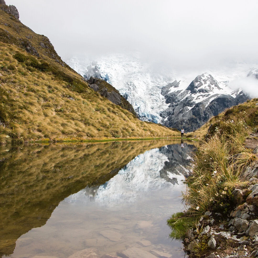 nz_unsplash_images_4.jpg