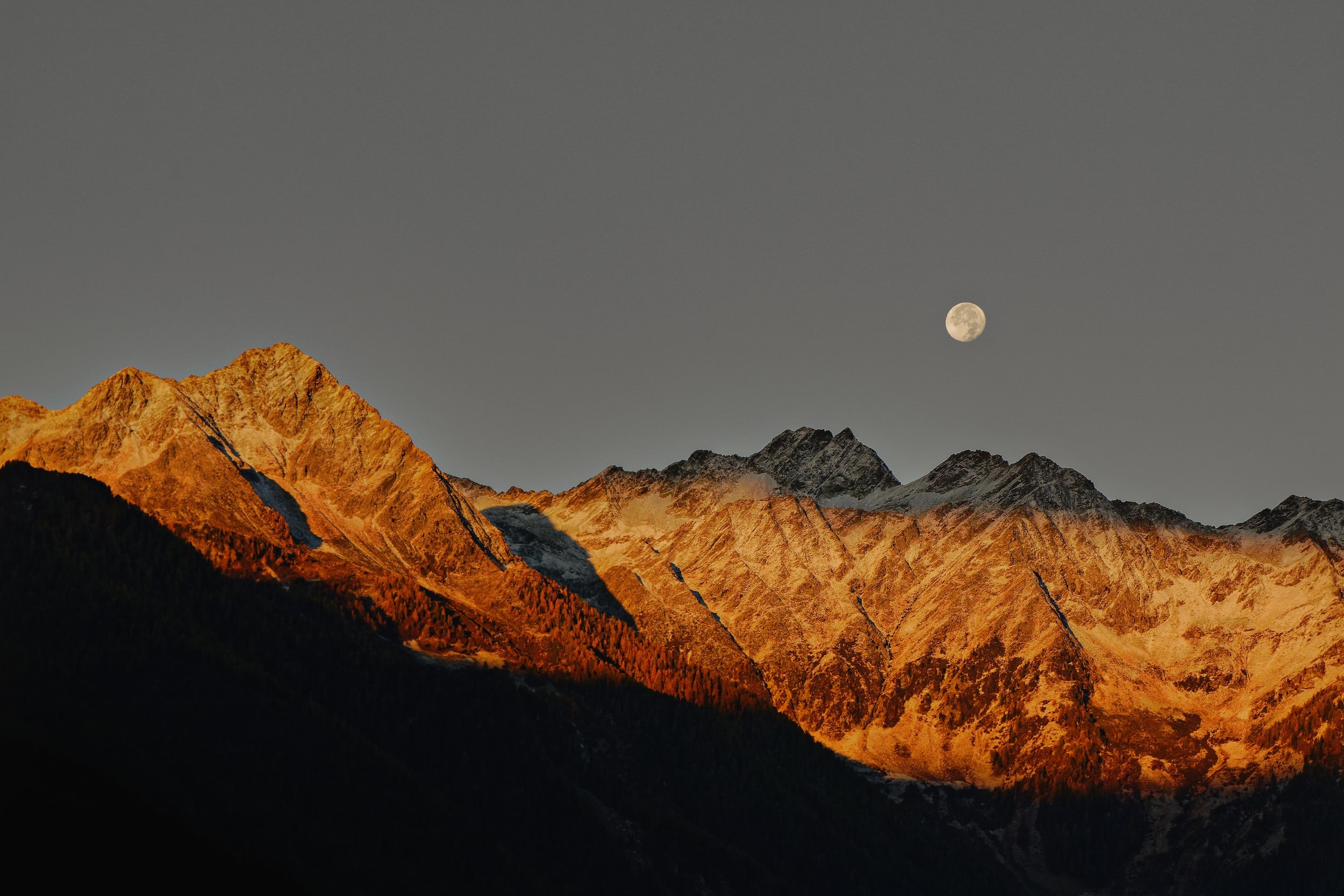 Preparing for a Business Valuation: A Company's Guide