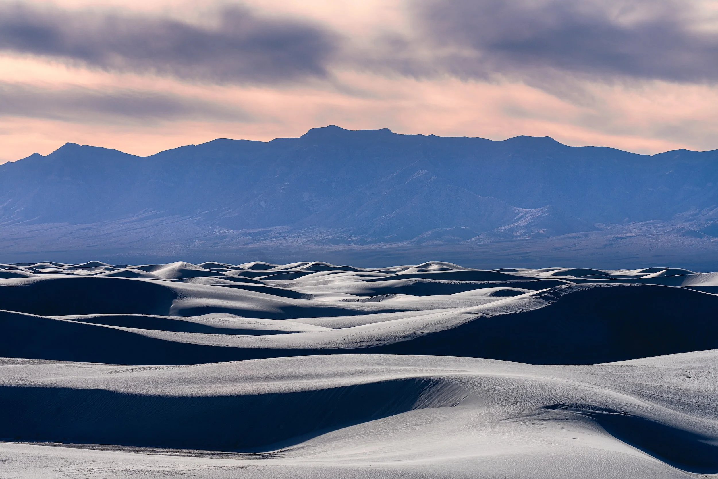 Gaining Traction: The Key to Startup Valuation