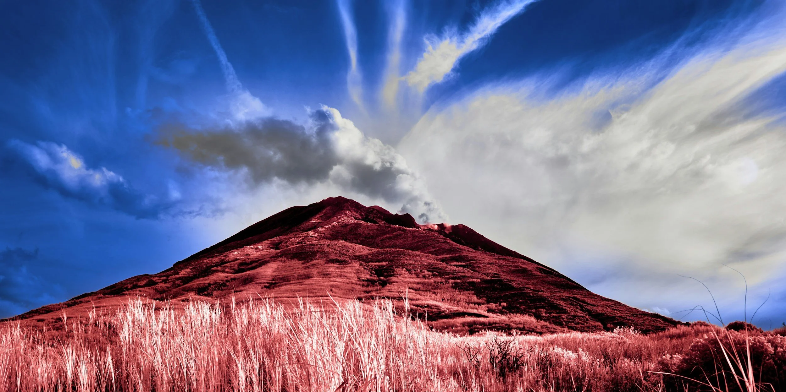 Fintech Financial Model Case Study: How Investors Actually Read the Numbers