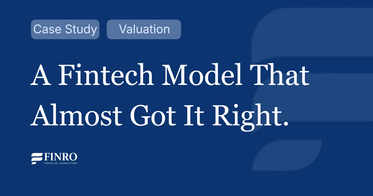 Fintech Financial Modeling Framework: Revenue, Margins, Risk