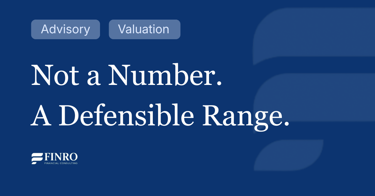Fintech Financial Modeling Framework: Revenue, Margins, Risk