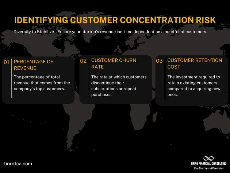 Understanding Customer Concentration in Tech Startups | Finro