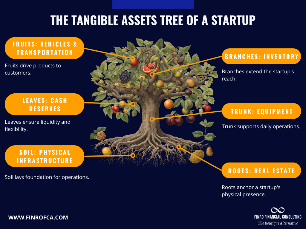 The Tangible Assets Tree of a Startup