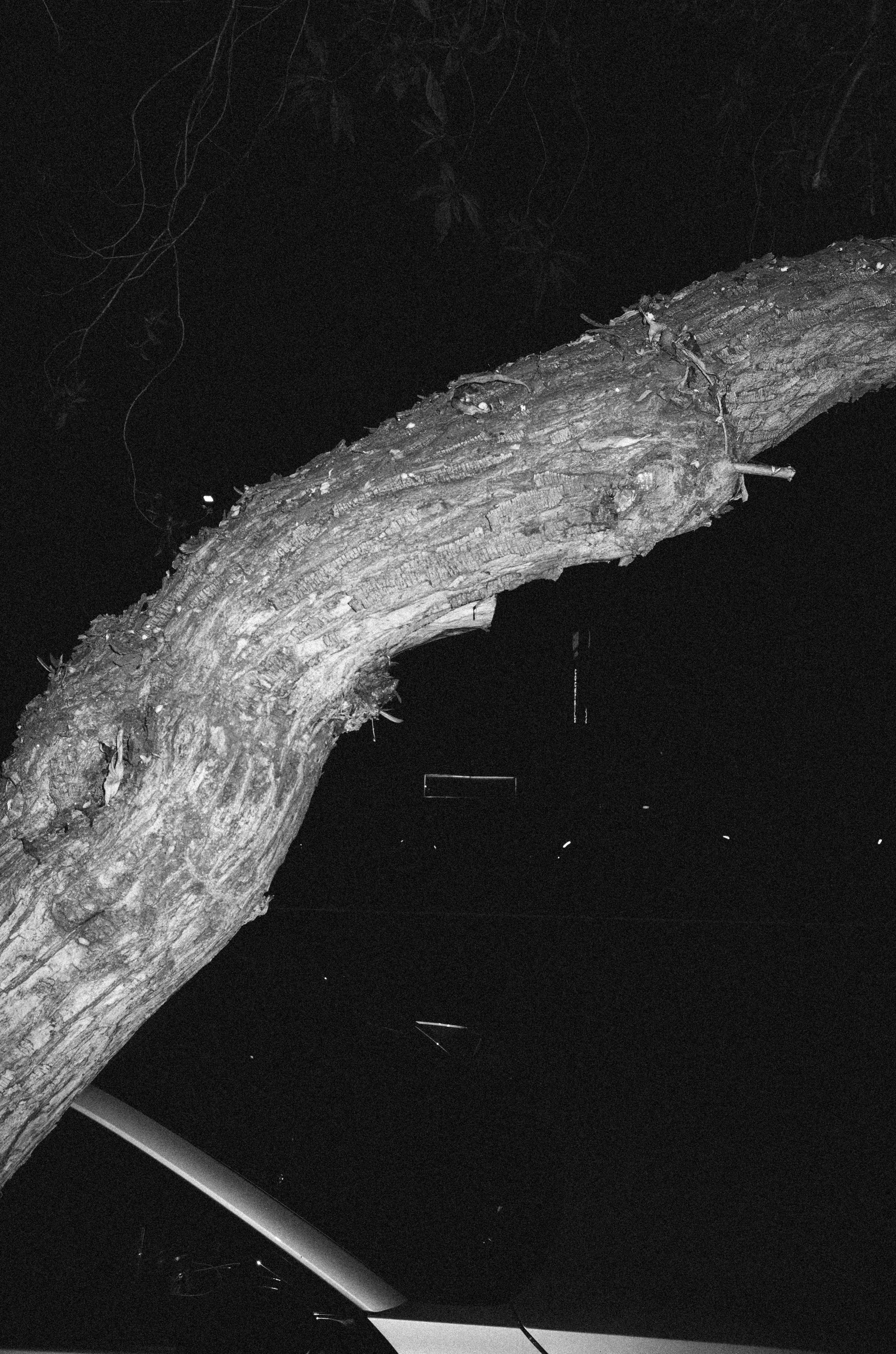 230802photo dump-42-2.jpg