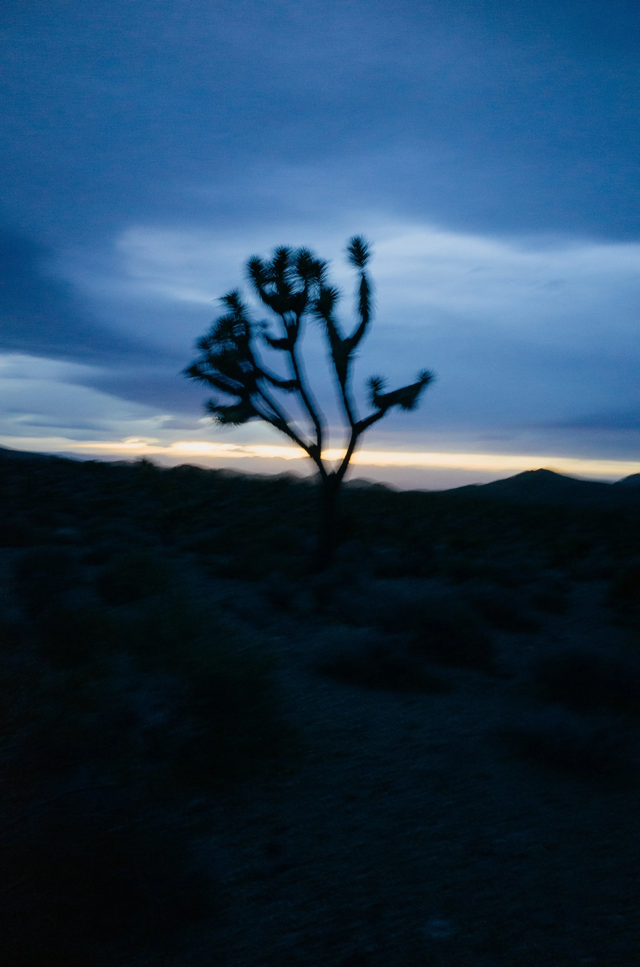 240328essi and the hellcatz161.jpg