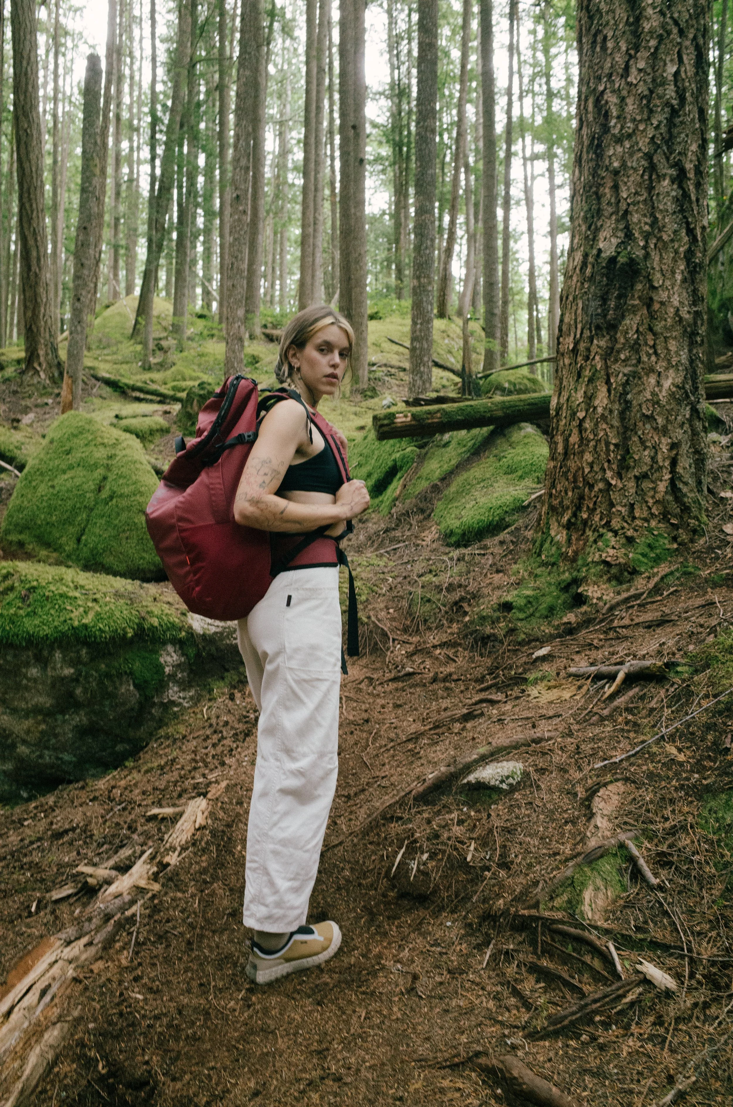 240813norda campaign14.jpg