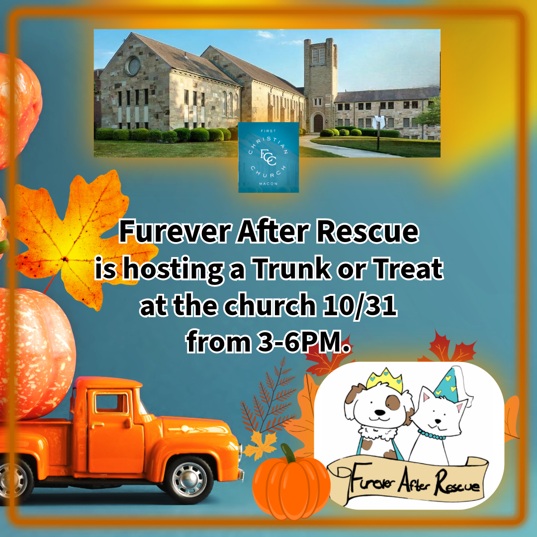 Trunk or Treat