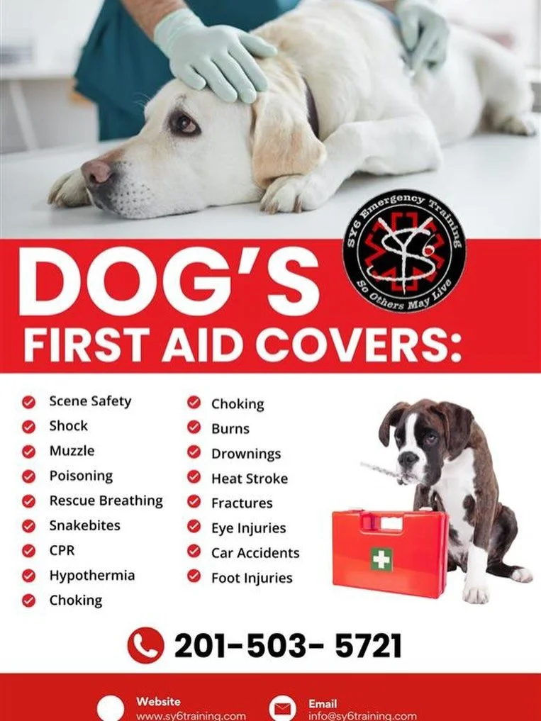 🐾❤️ Now Offering CPR &amp; First Aid Training for Pet Owners! ❤️🐾
Your pets are family &mdash; would you know what to do in an emergency?
Learn how to handle:
🐶 Choking
💔 Cardiac emergencies
🩹 Bleeding &amp; injuries
🚑 And more common pet emerg