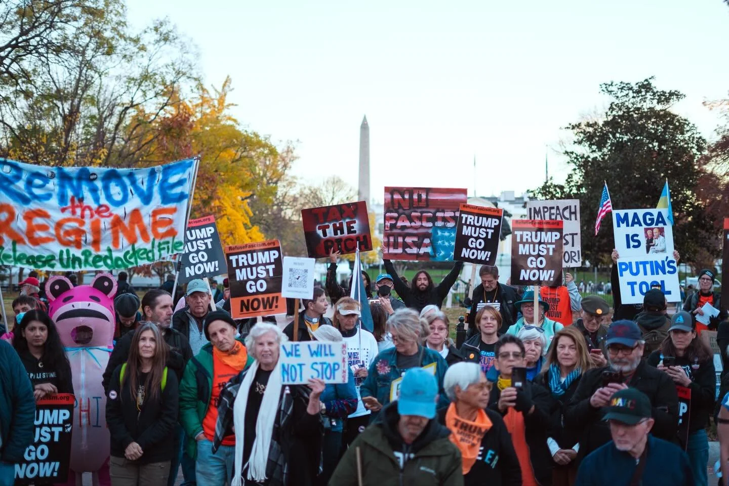 Horizontal photos from @refusefascismdmv @refusefascism today