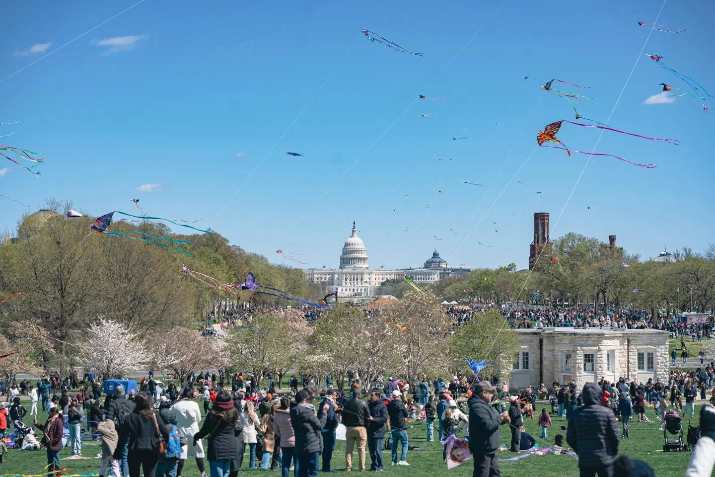 Few from @cherryblossfest National Kite Festival last month
