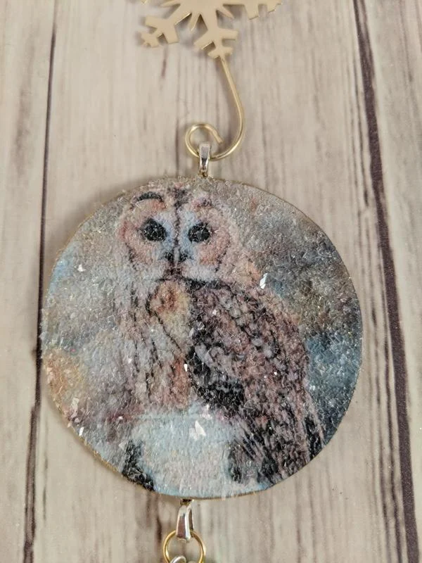 BarredOwl2.jpg