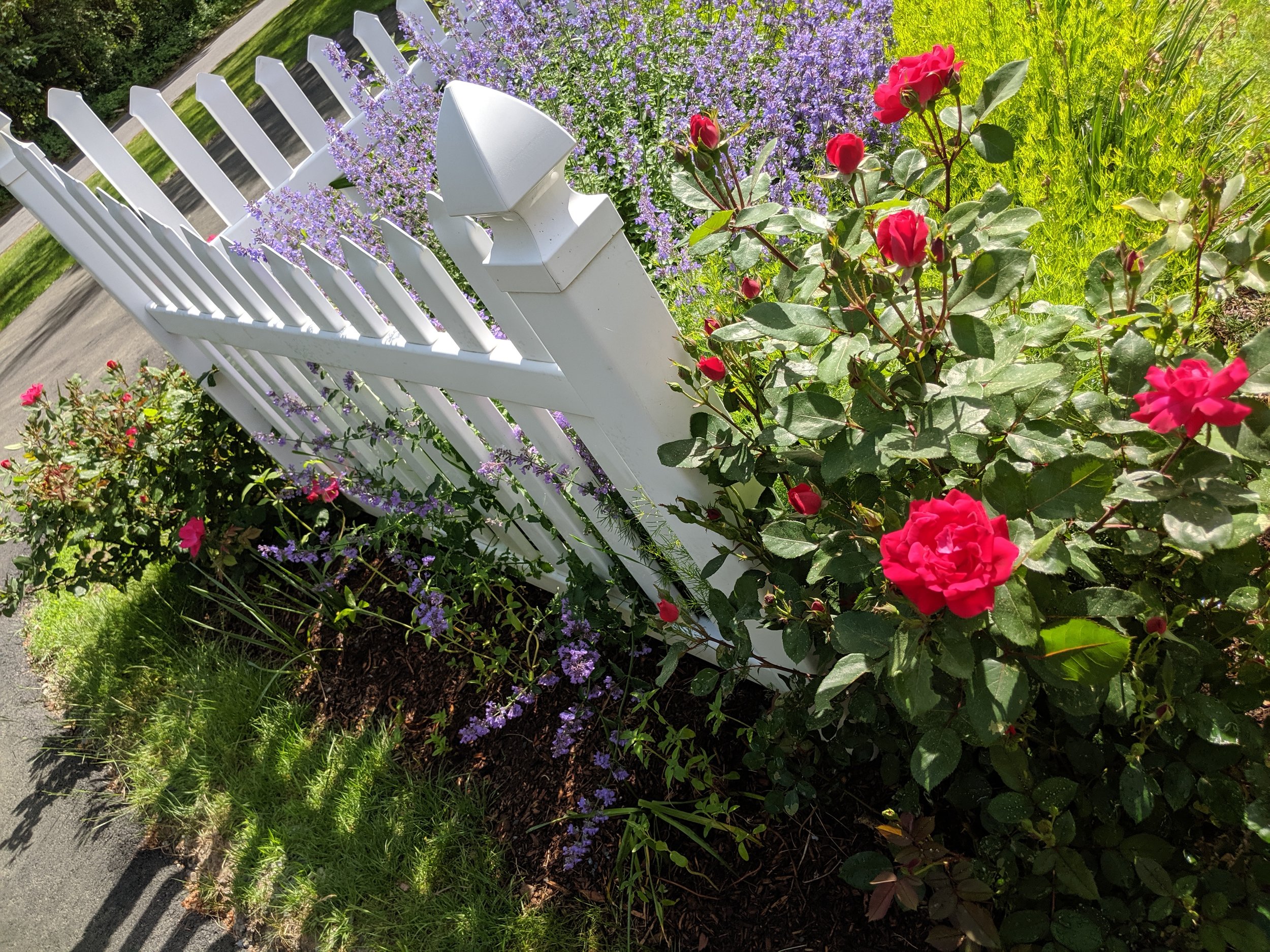 IMG_20190610_155012.jpg