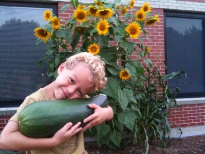 cosmo zuchini.jpeg