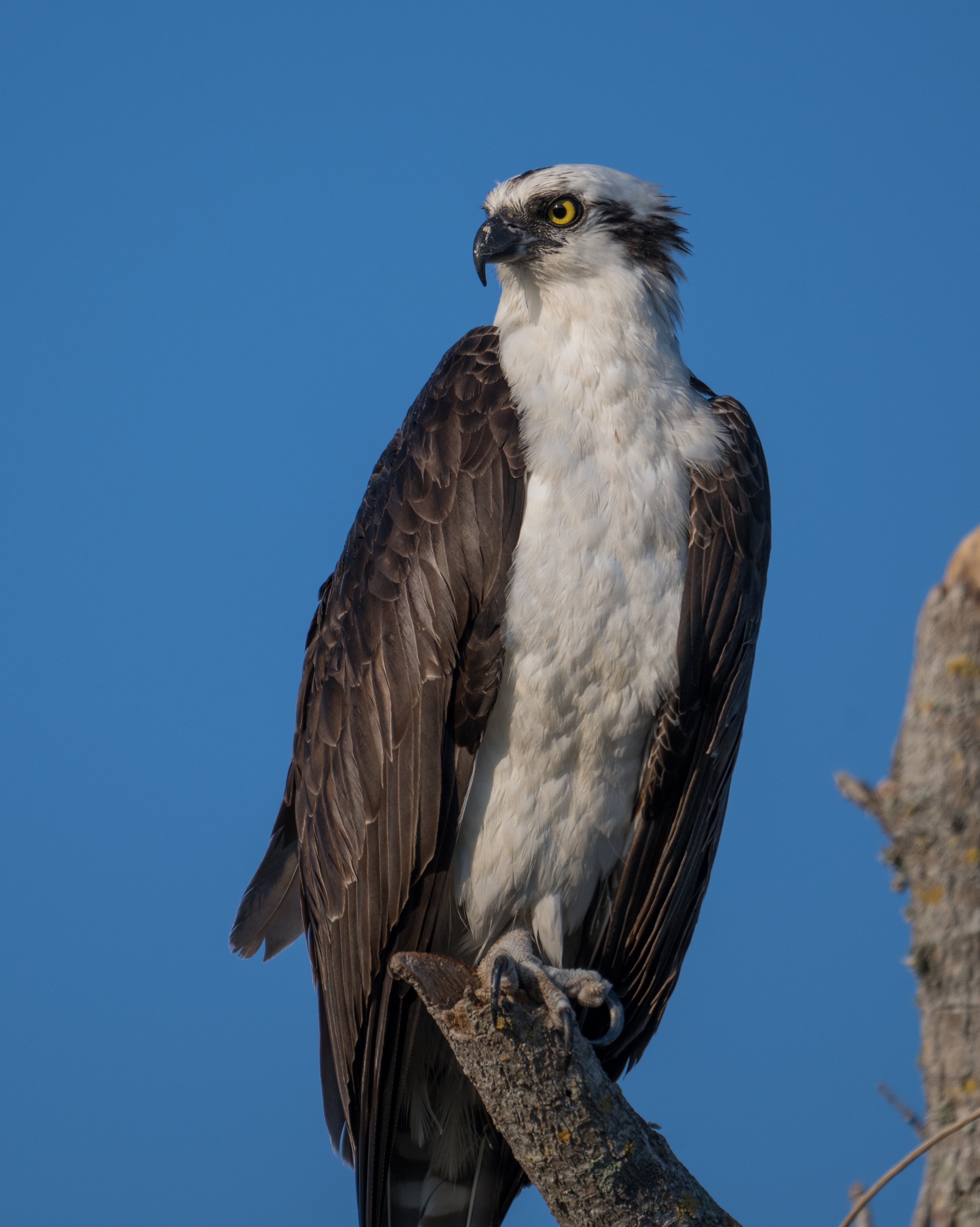 NZ8_2138-1.jpg