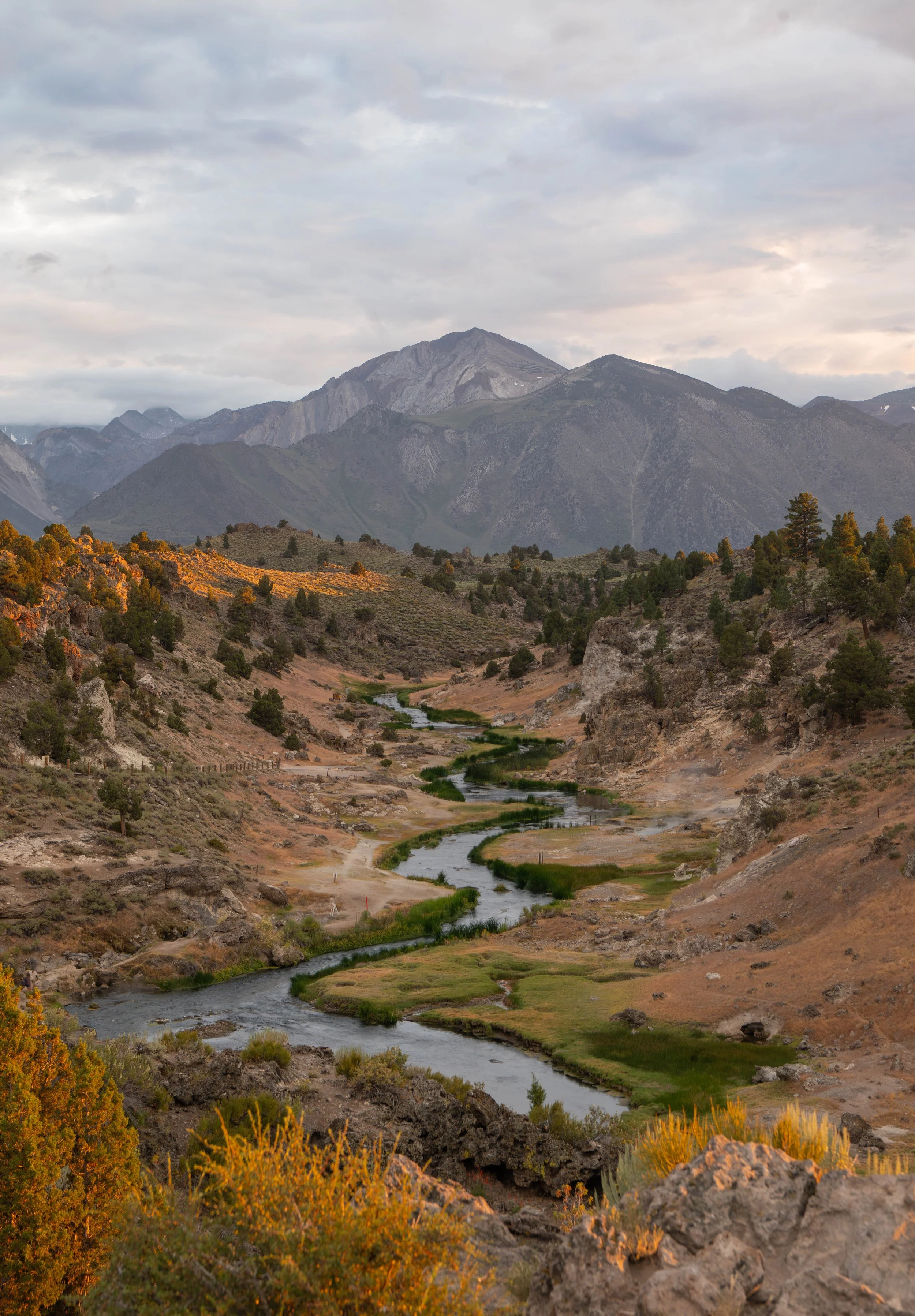 NZ8_5168-1.jpg