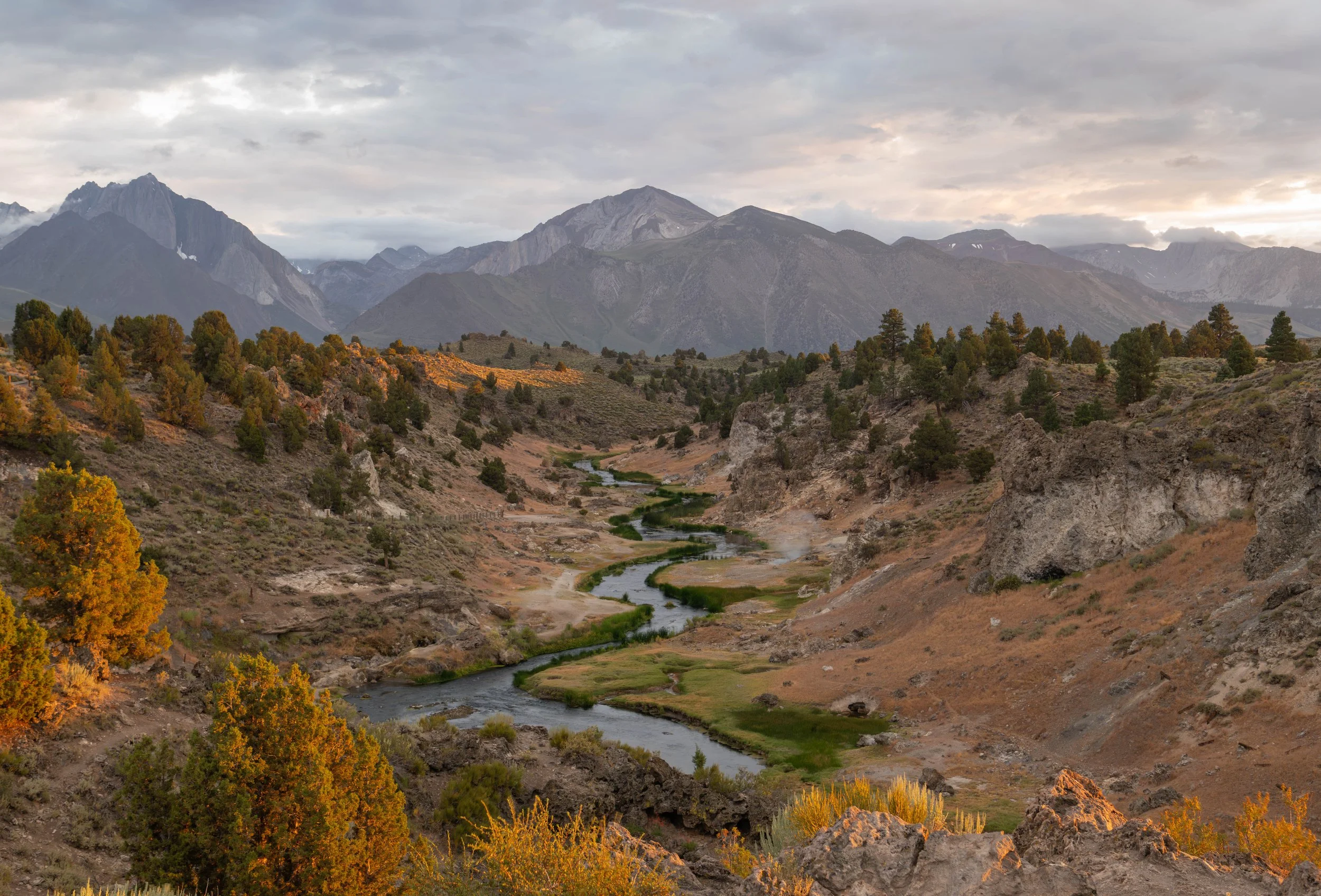 NZ8_5170-1.jpg