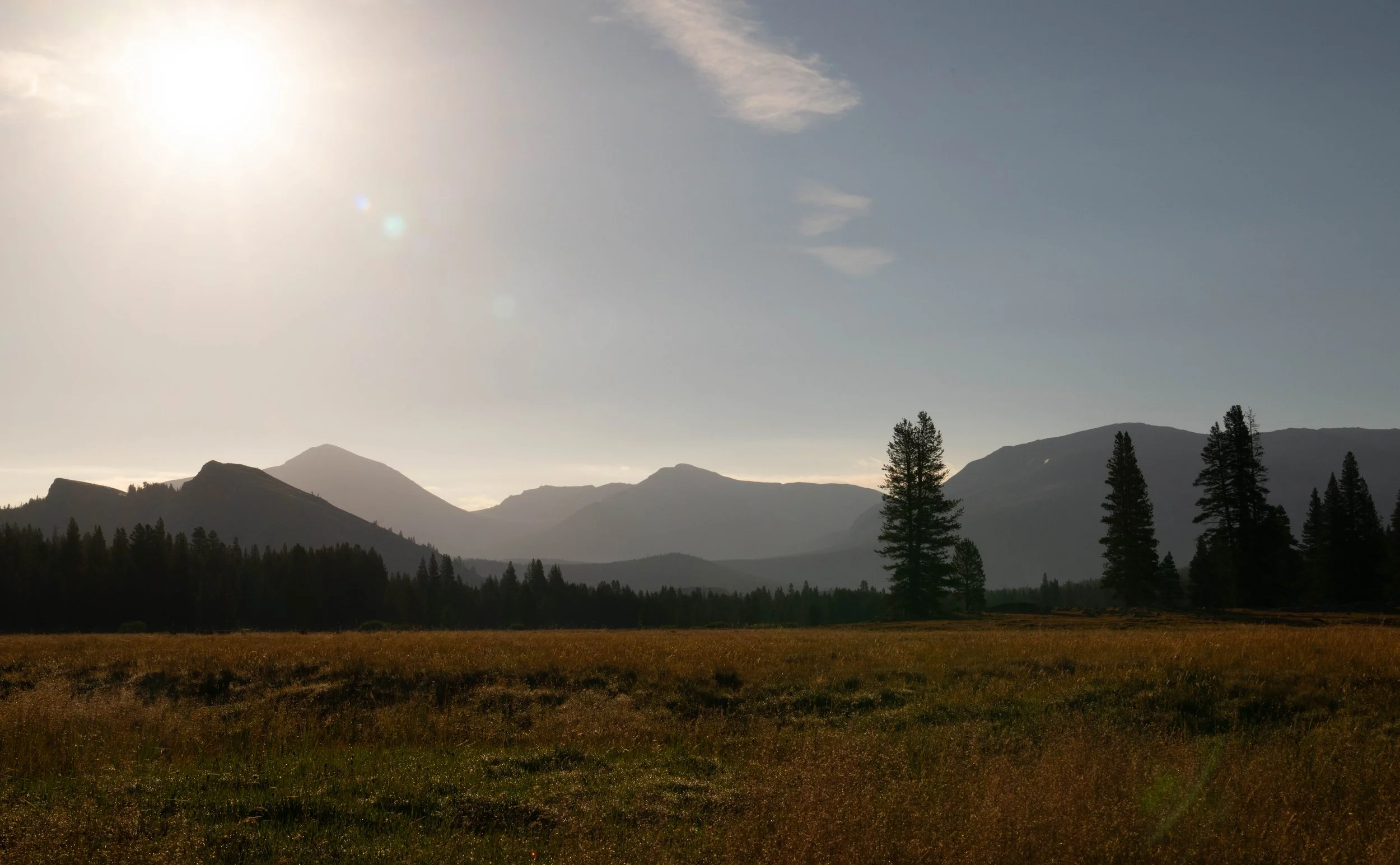 NZ8_5073-1.jpg