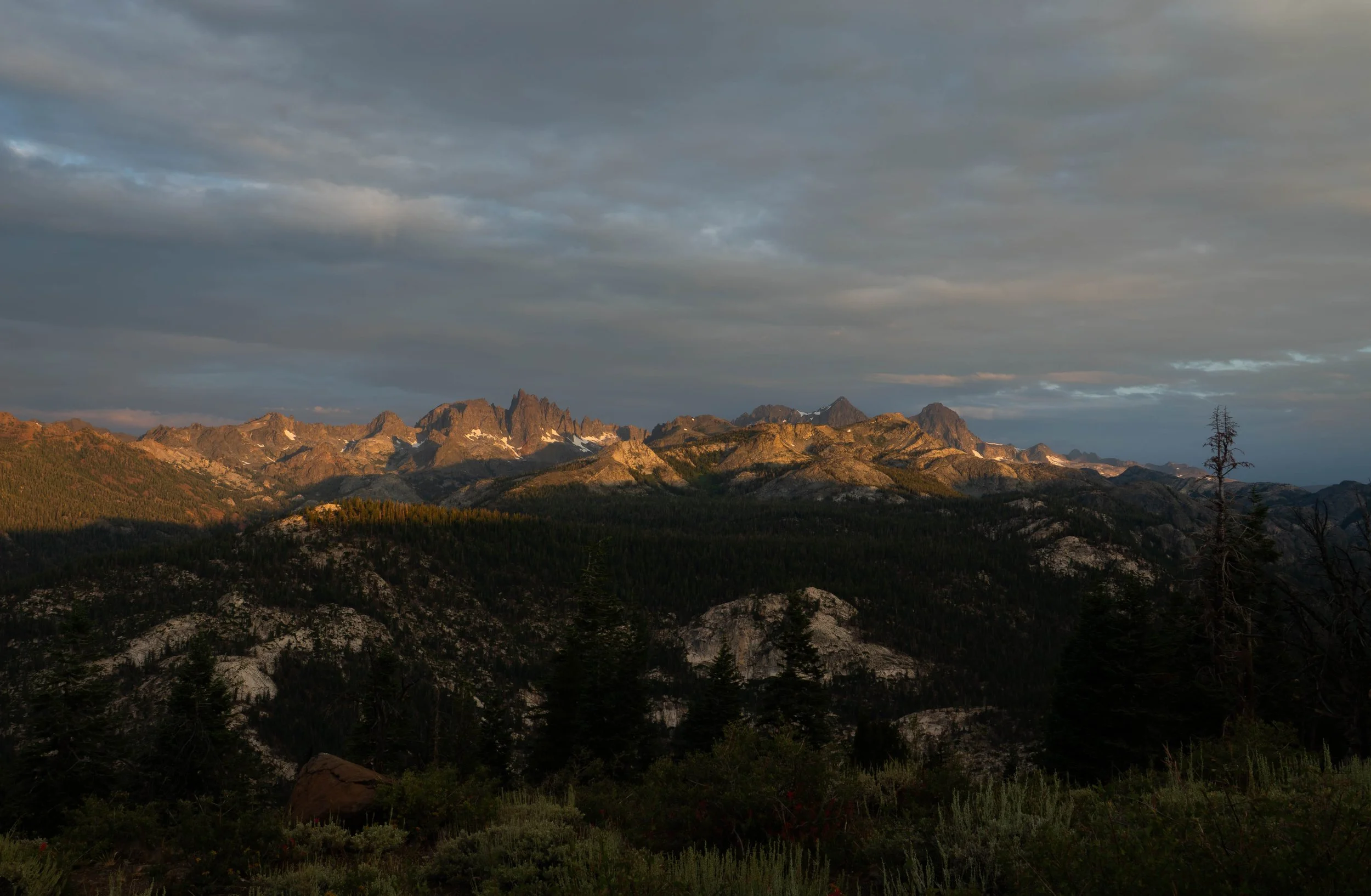 NZ8_5341-1.jpg